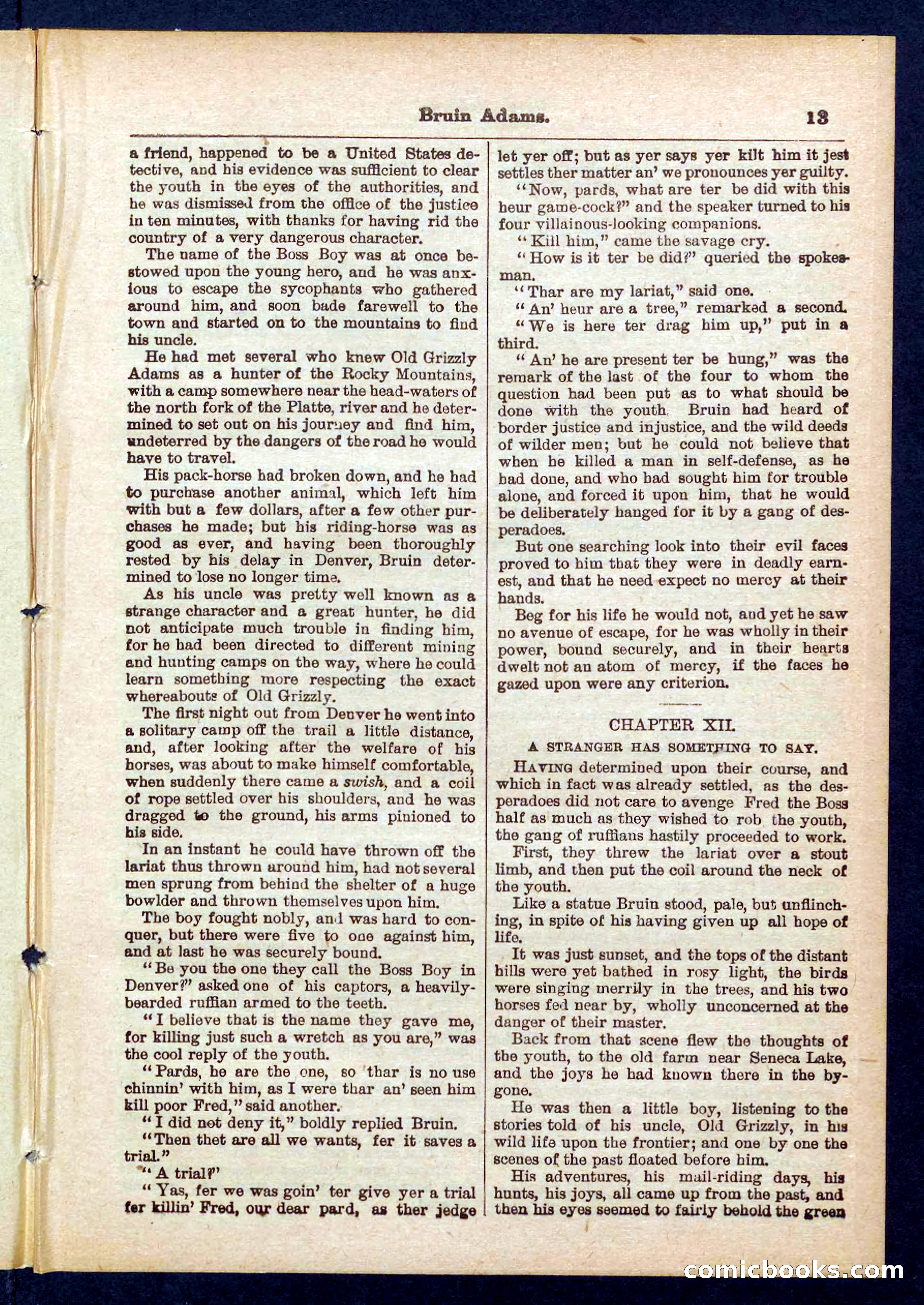 Beadle's Pocket Library No. 433 — page 13 of 32