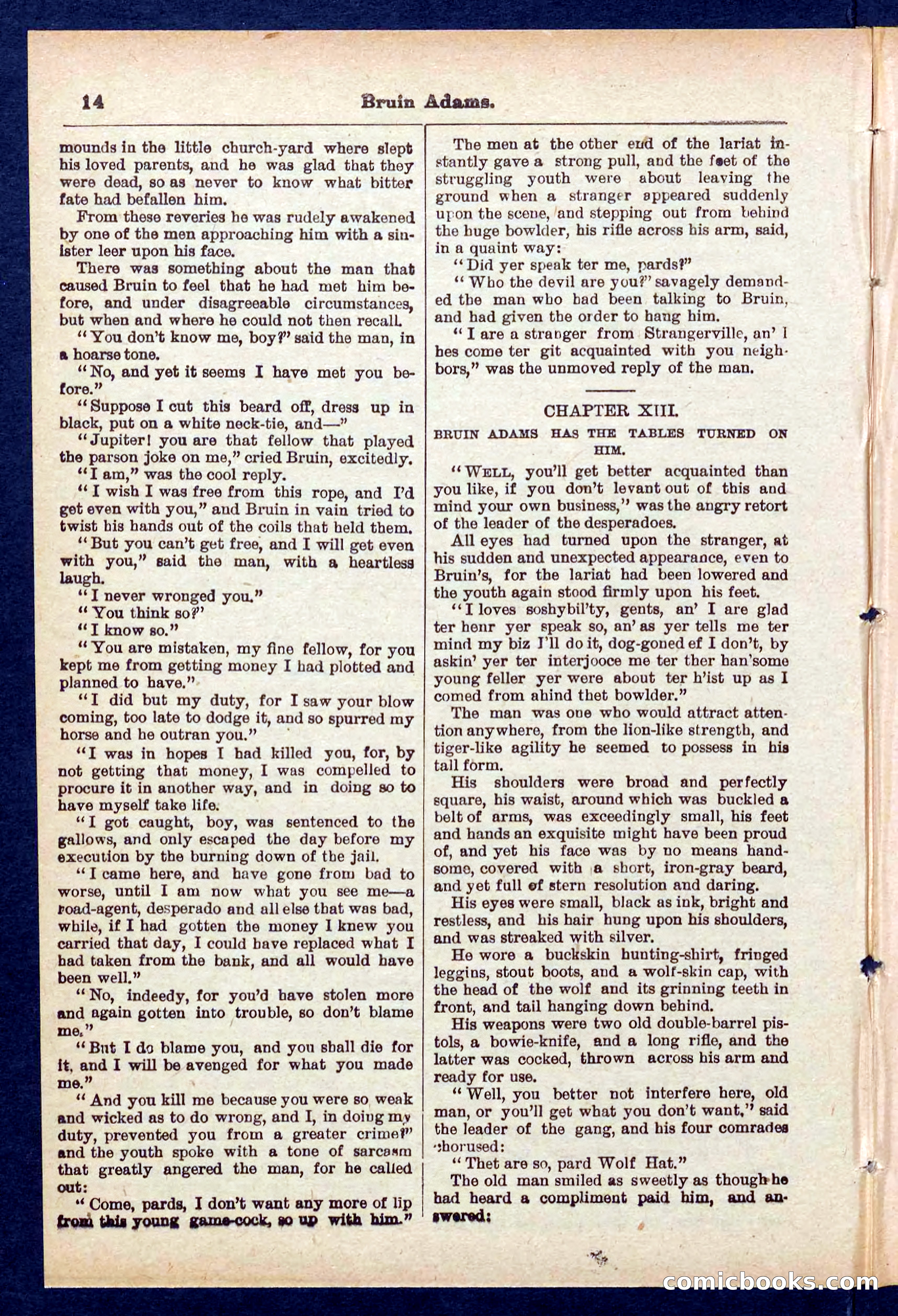 Beadle's Pocket Library No. 433 — page 14 of 32
