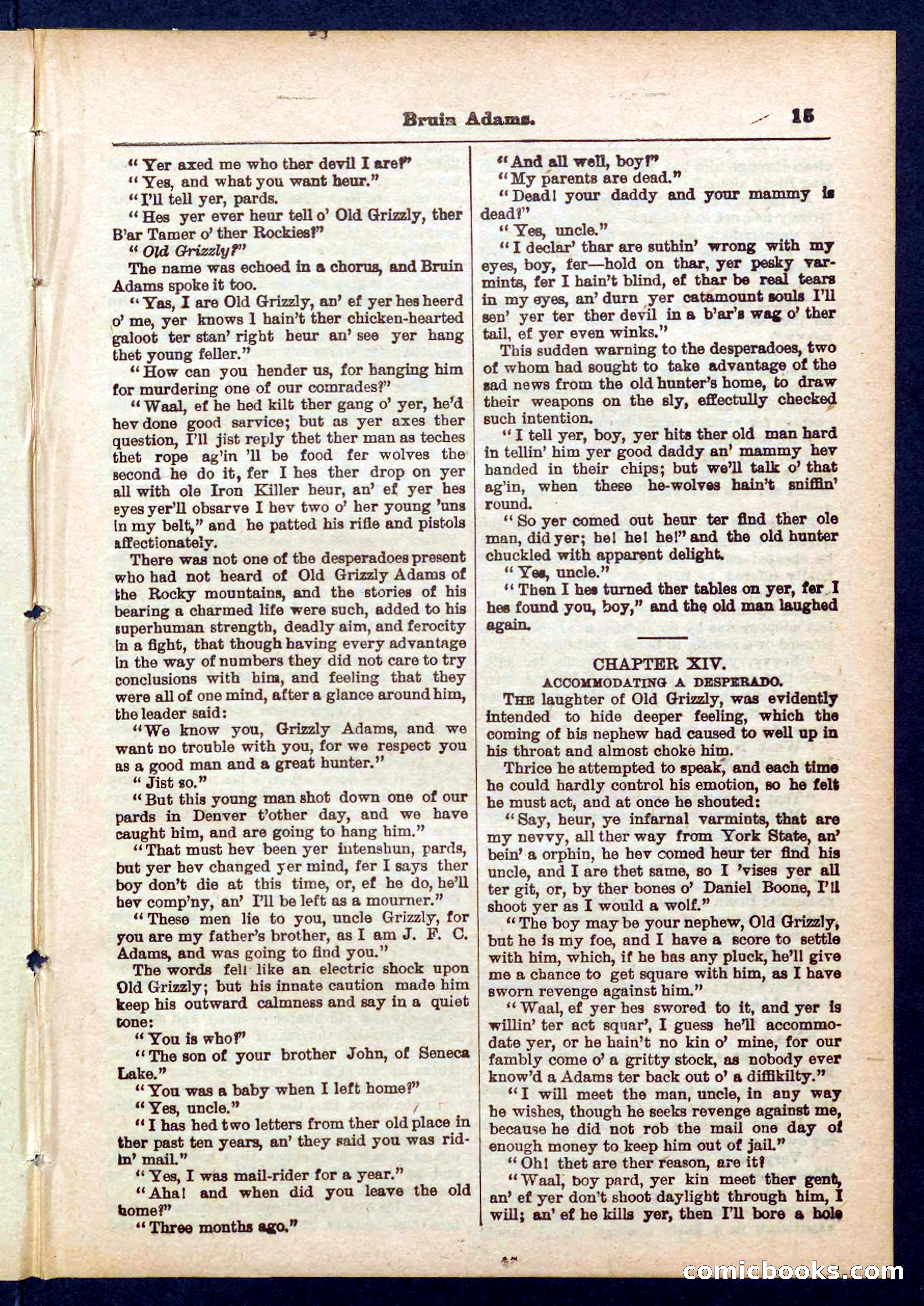 Beadle's Pocket Library No. 433 — page 15 of 32