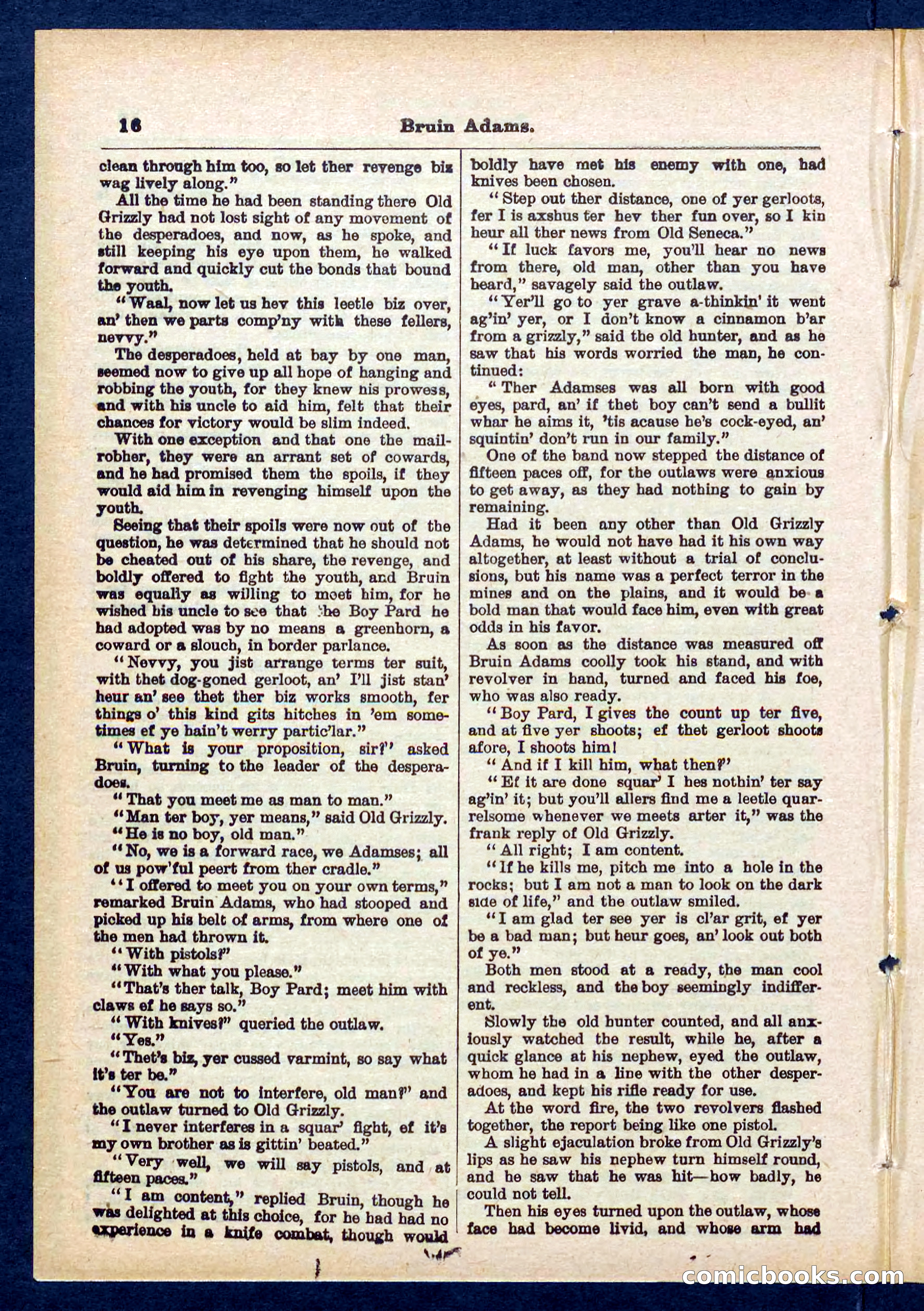 Beadle's Pocket Library No. 433 — page 16 of 32