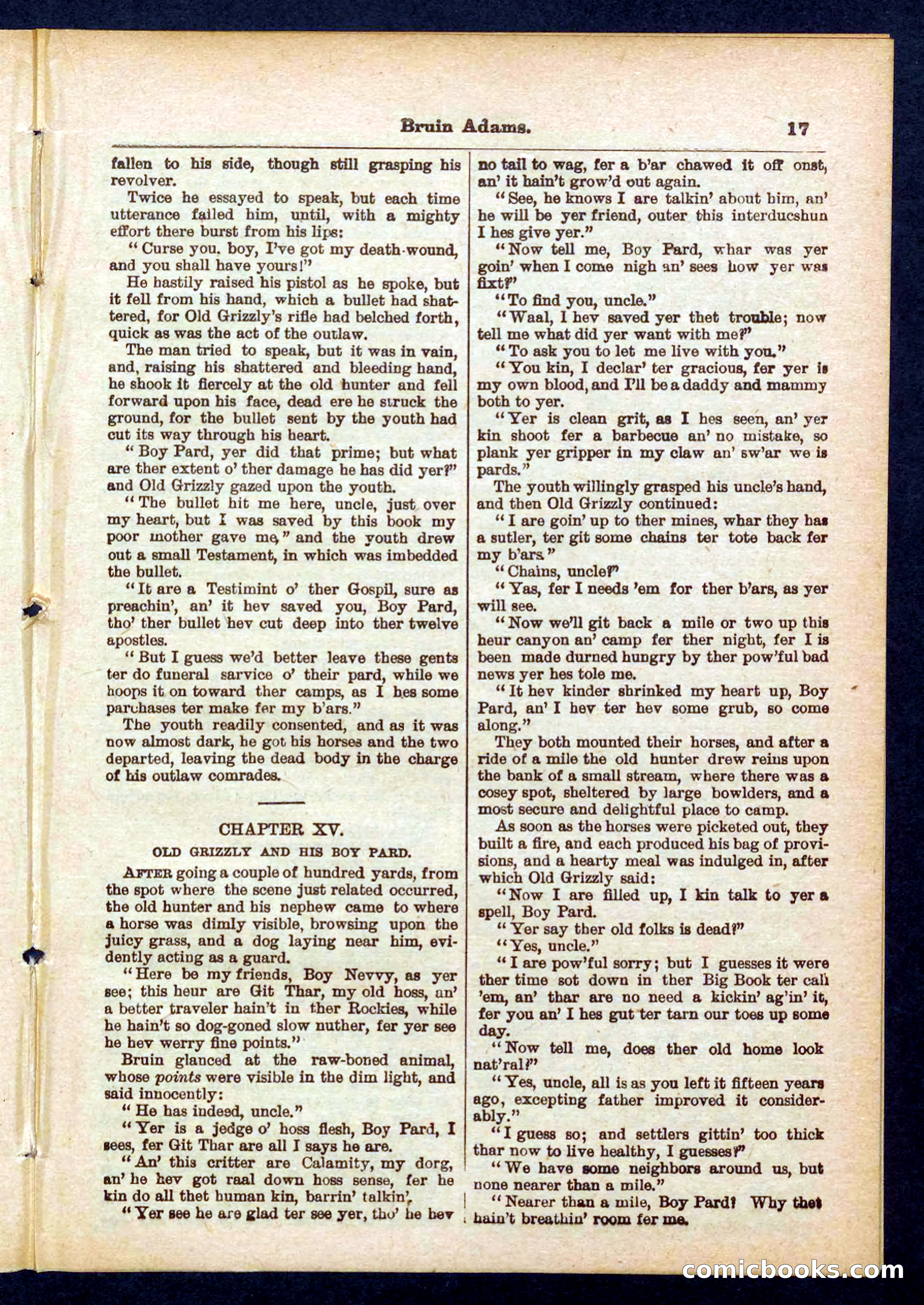 Beadle's Pocket Library No. 433 — page 17 of 32