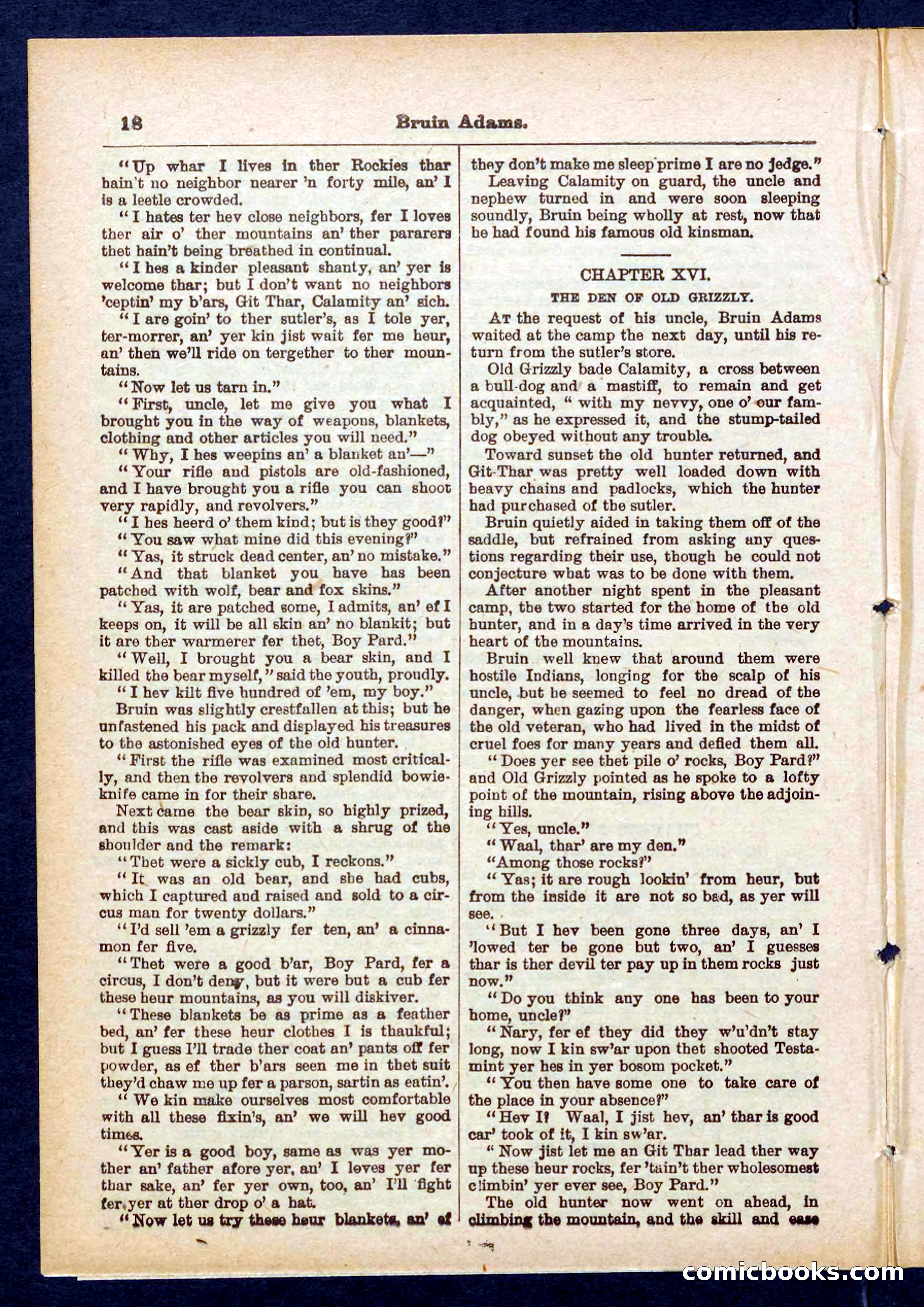 Beadle's Pocket Library No. 433 — page 18 of 32