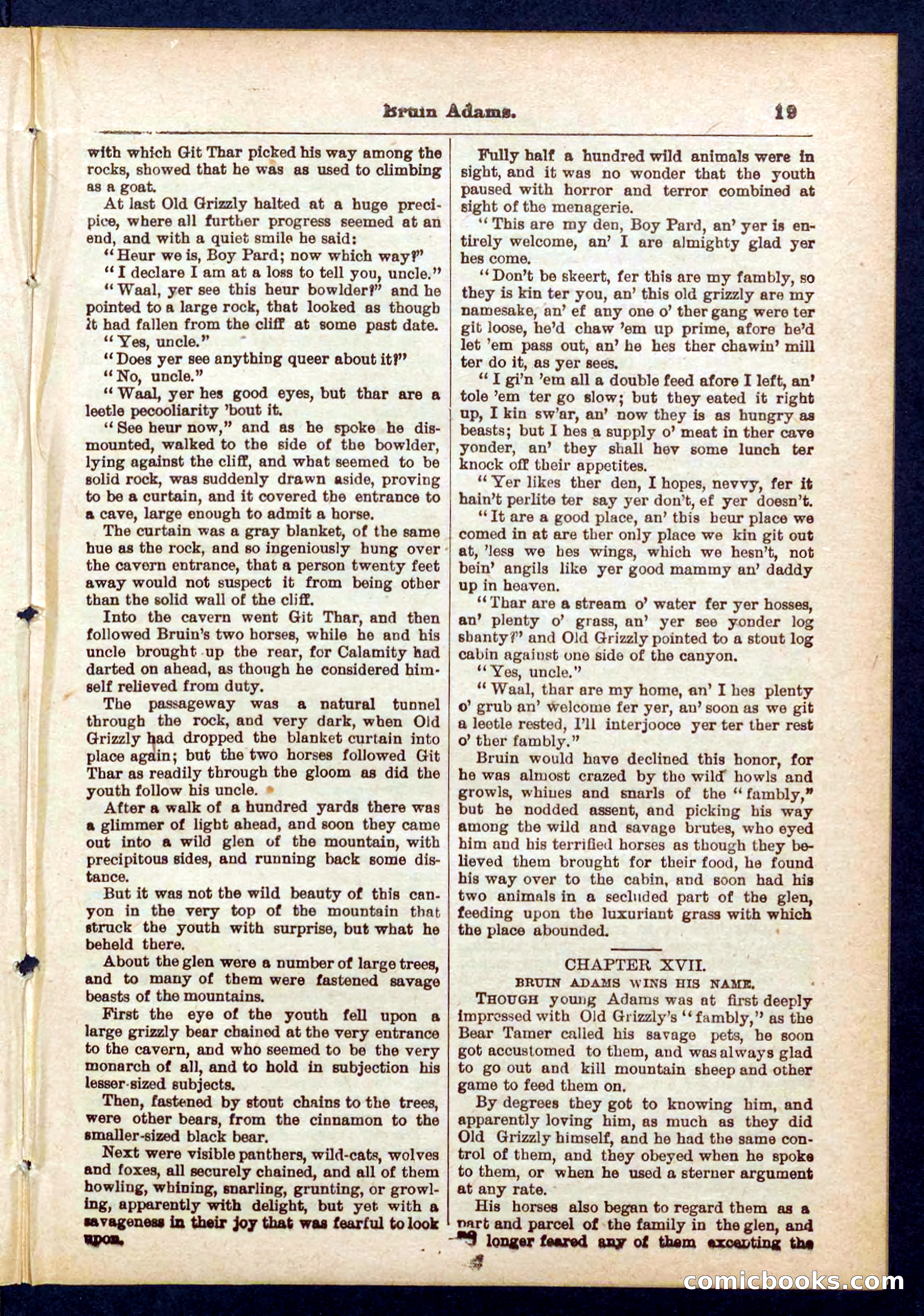 Beadle's Pocket Library No. 433 — page 19 of 32