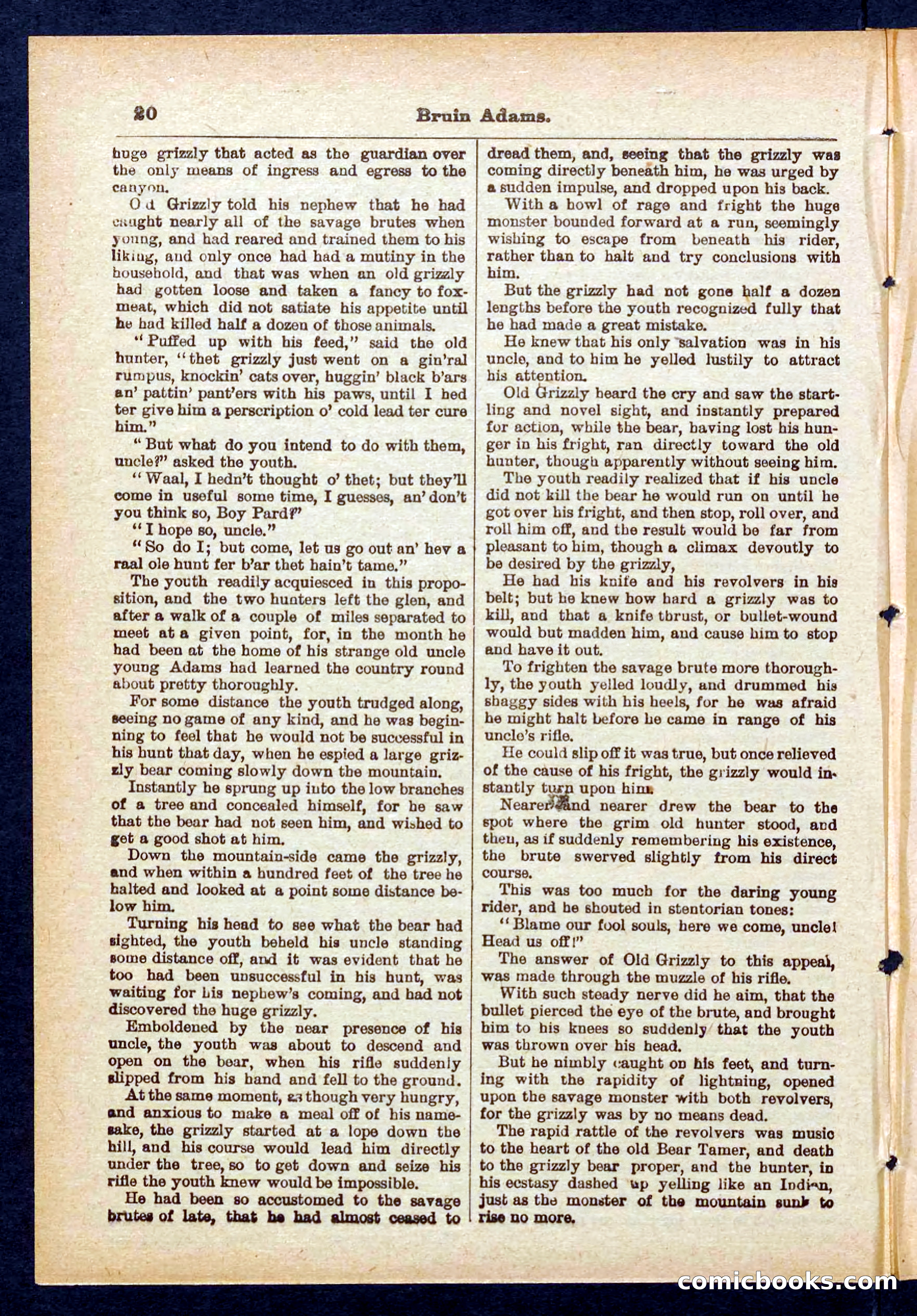 Beadle's Pocket Library No. 433 — page 20 of 32