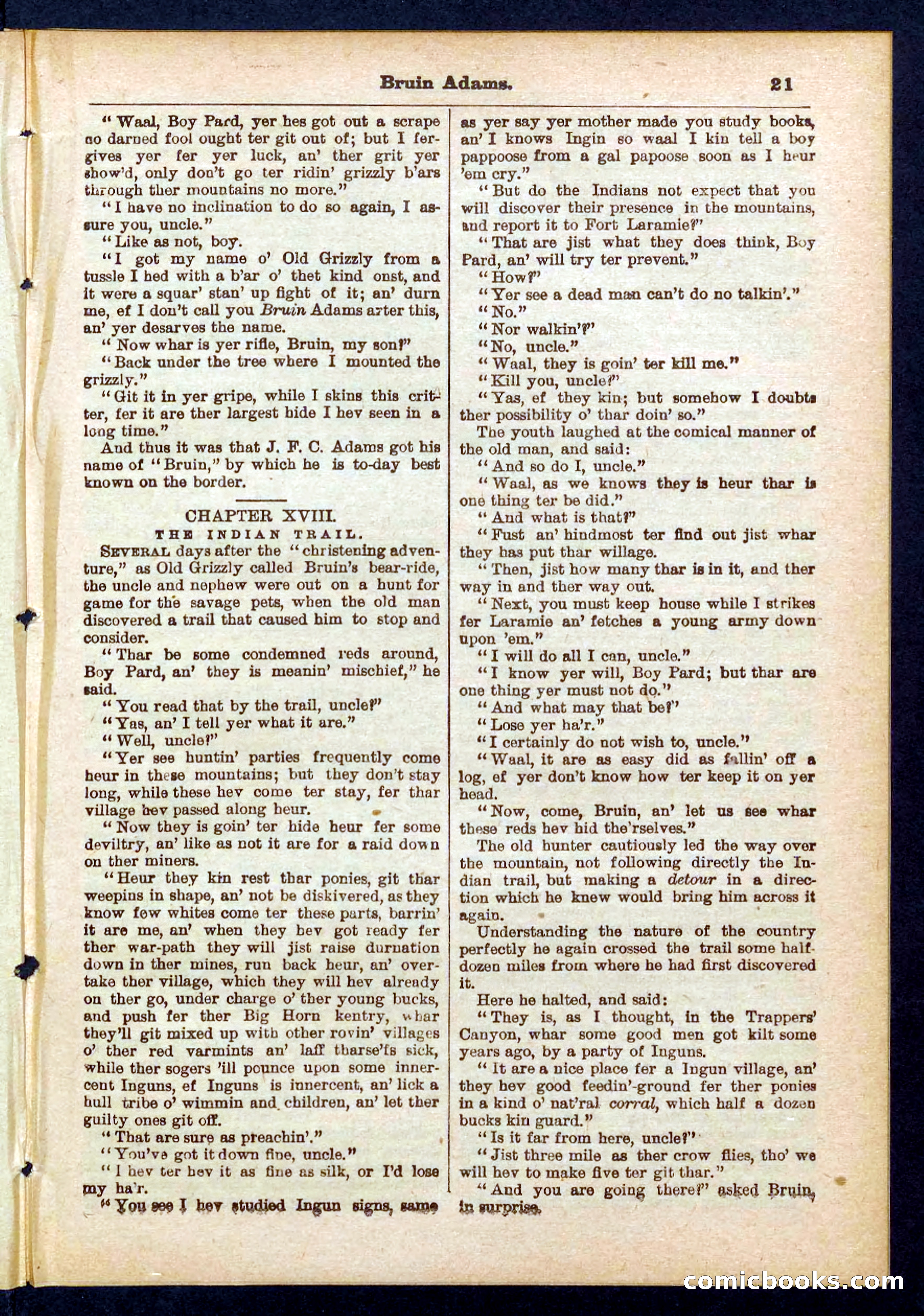 Beadle's Pocket Library No. 433 — page 21 of 32