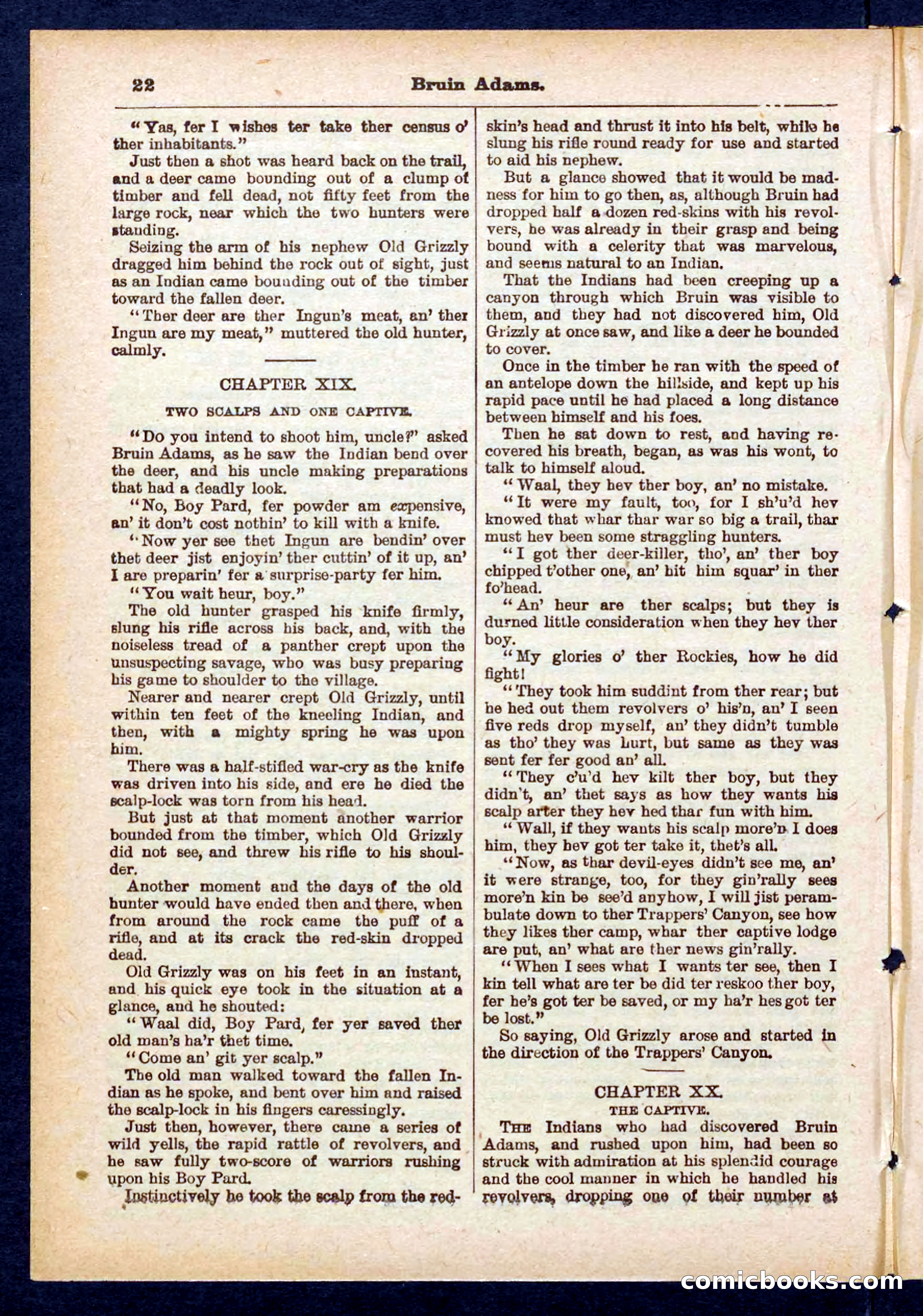 Beadle's Pocket Library No. 433 — page 22 of 32