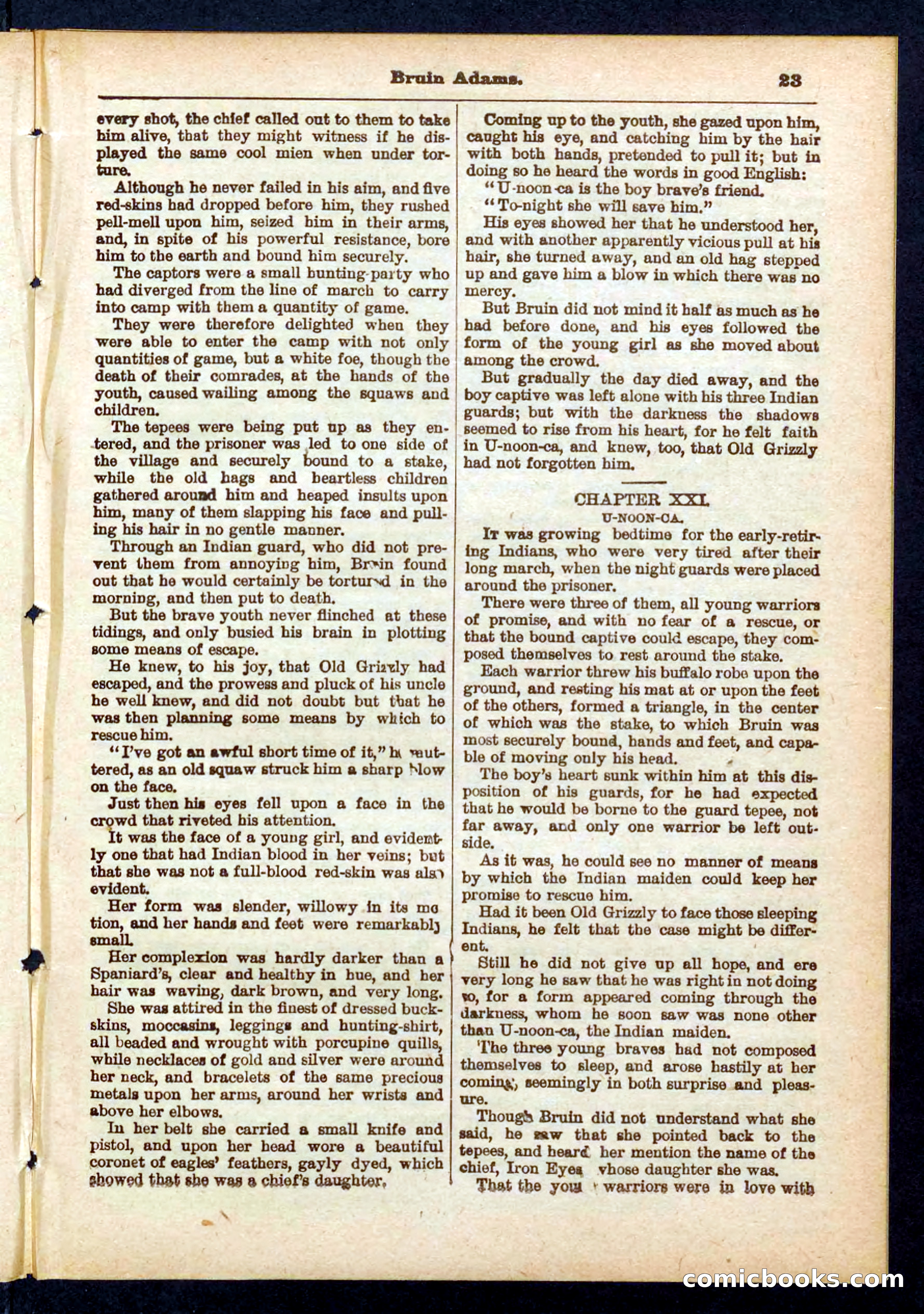 Beadle's Pocket Library No. 433 — page 23 of 32