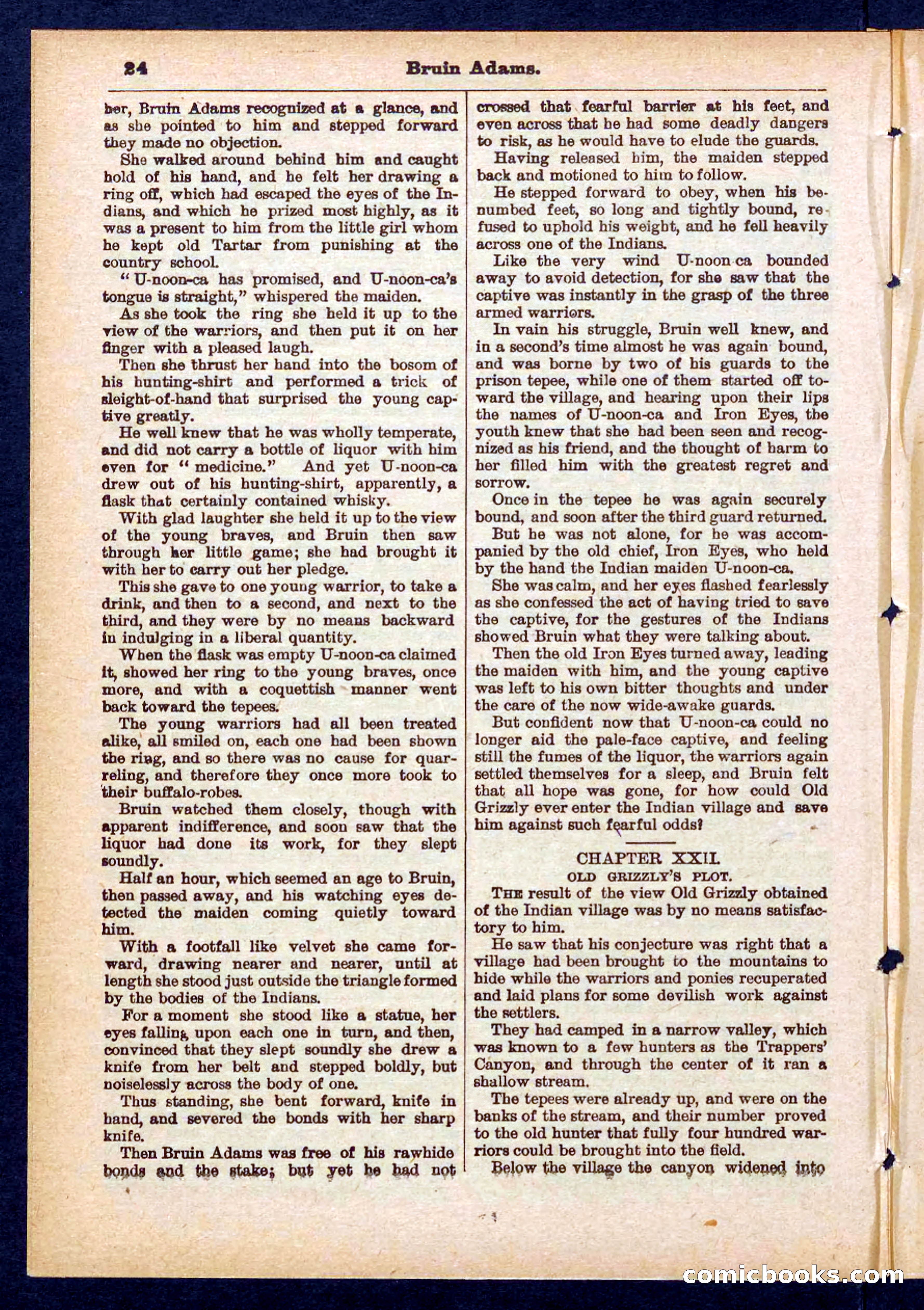 Beadle's Pocket Library No. 433 — page 24 of 32