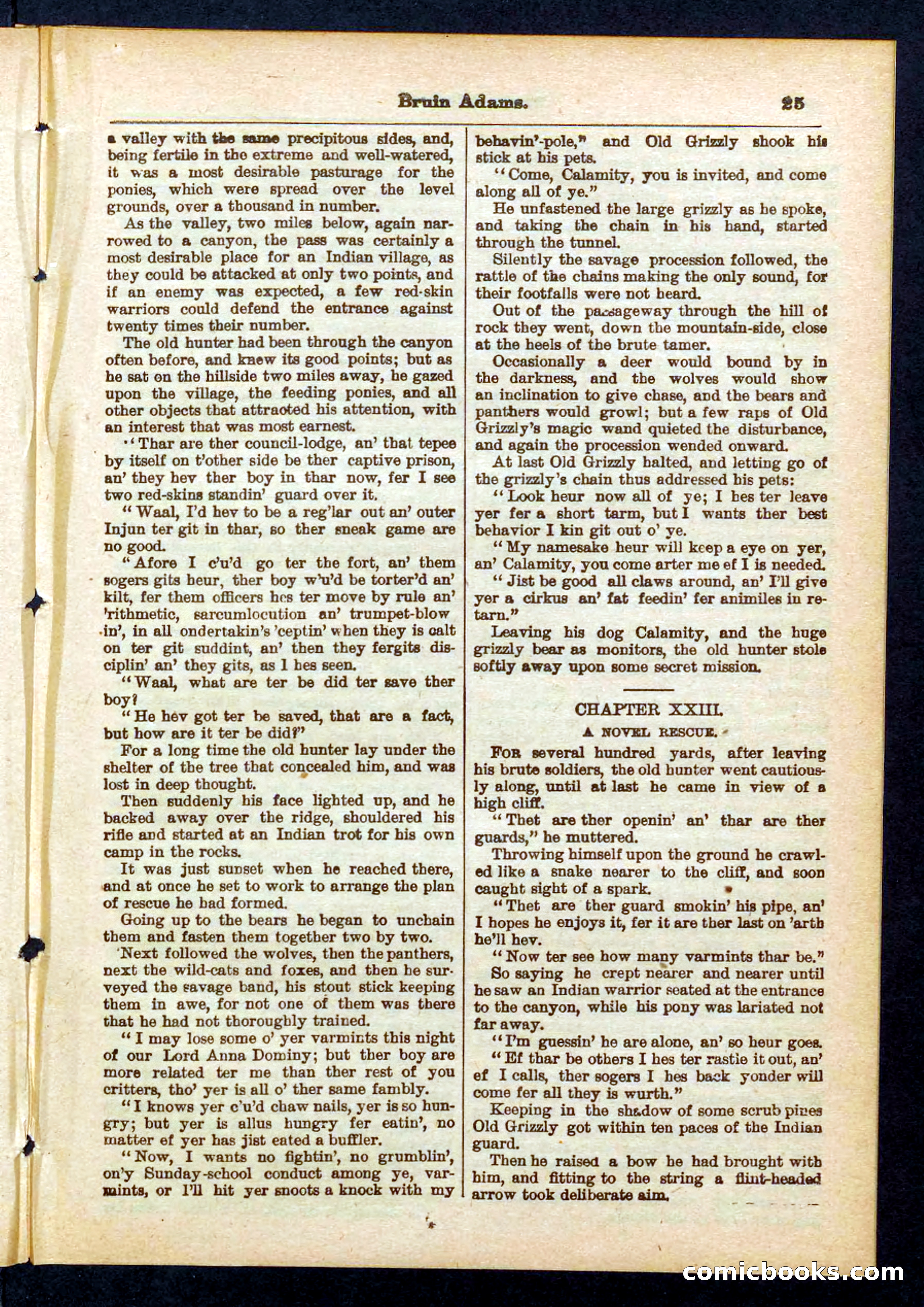Beadle's Pocket Library No. 433 — page 25 of 32