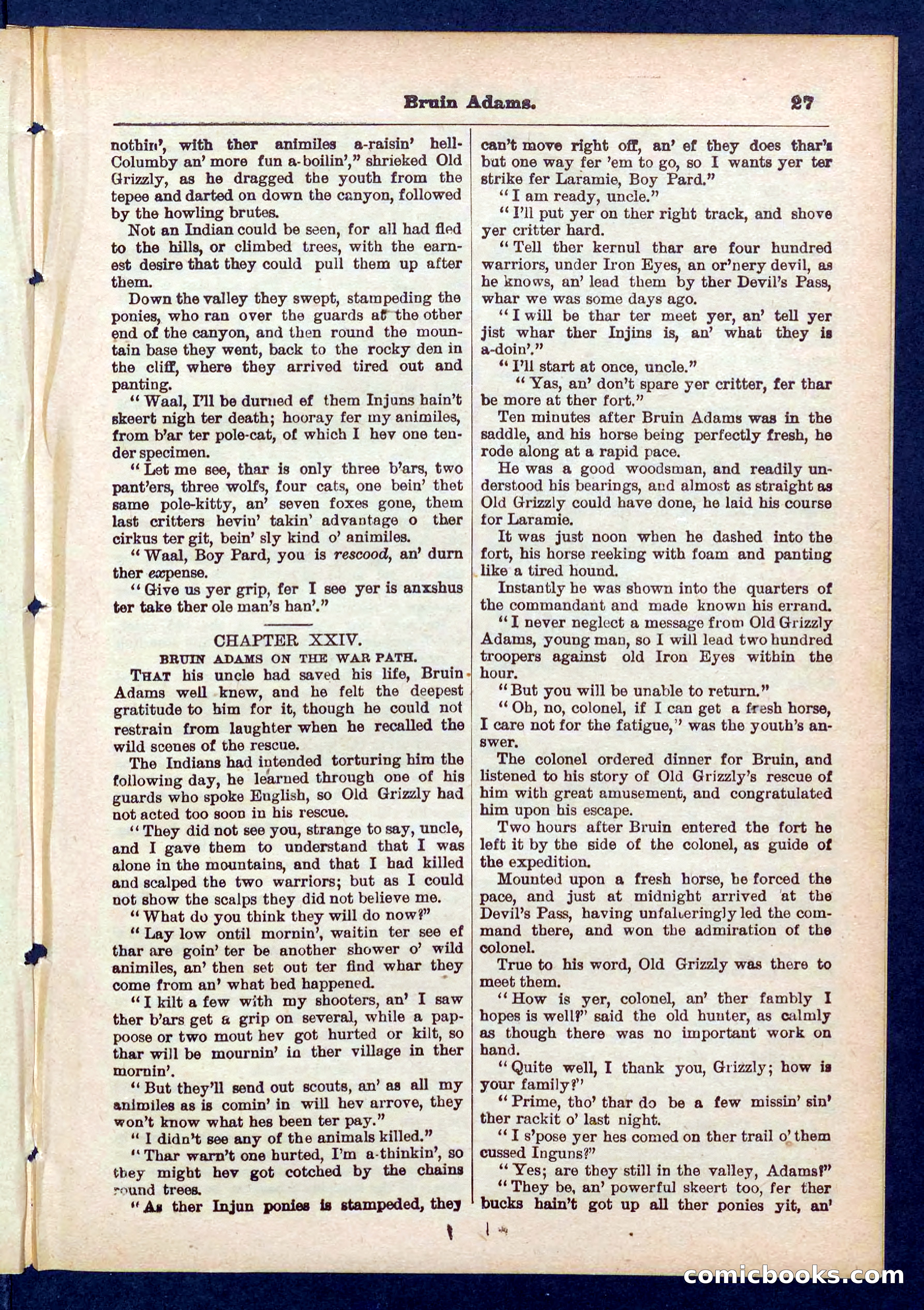 Beadle's Pocket Library No. 433 — page 27 of 32