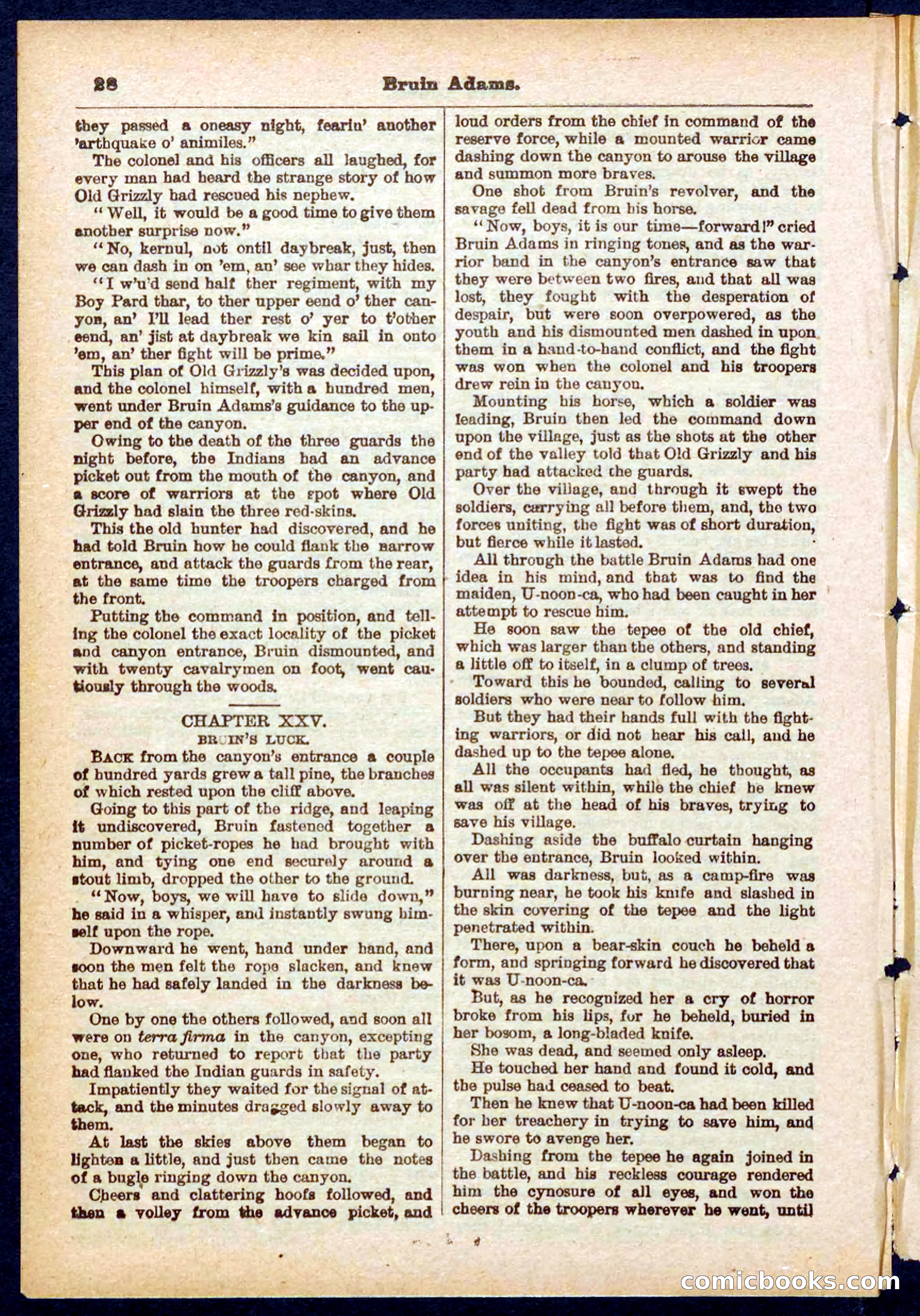 Beadle's Pocket Library No. 433 — page 28 of 32