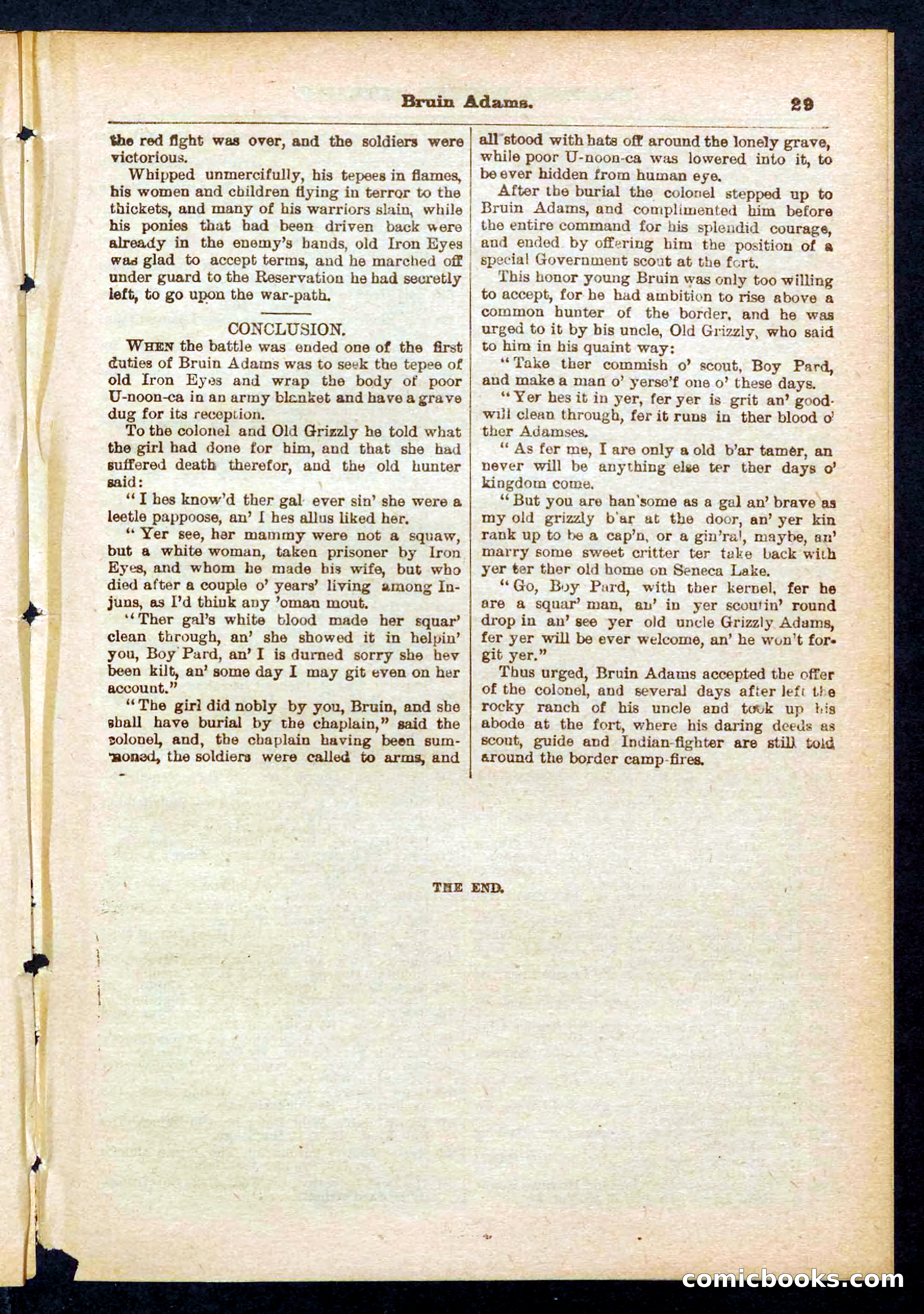 Beadle's Pocket Library No. 433 — page 29 of 32