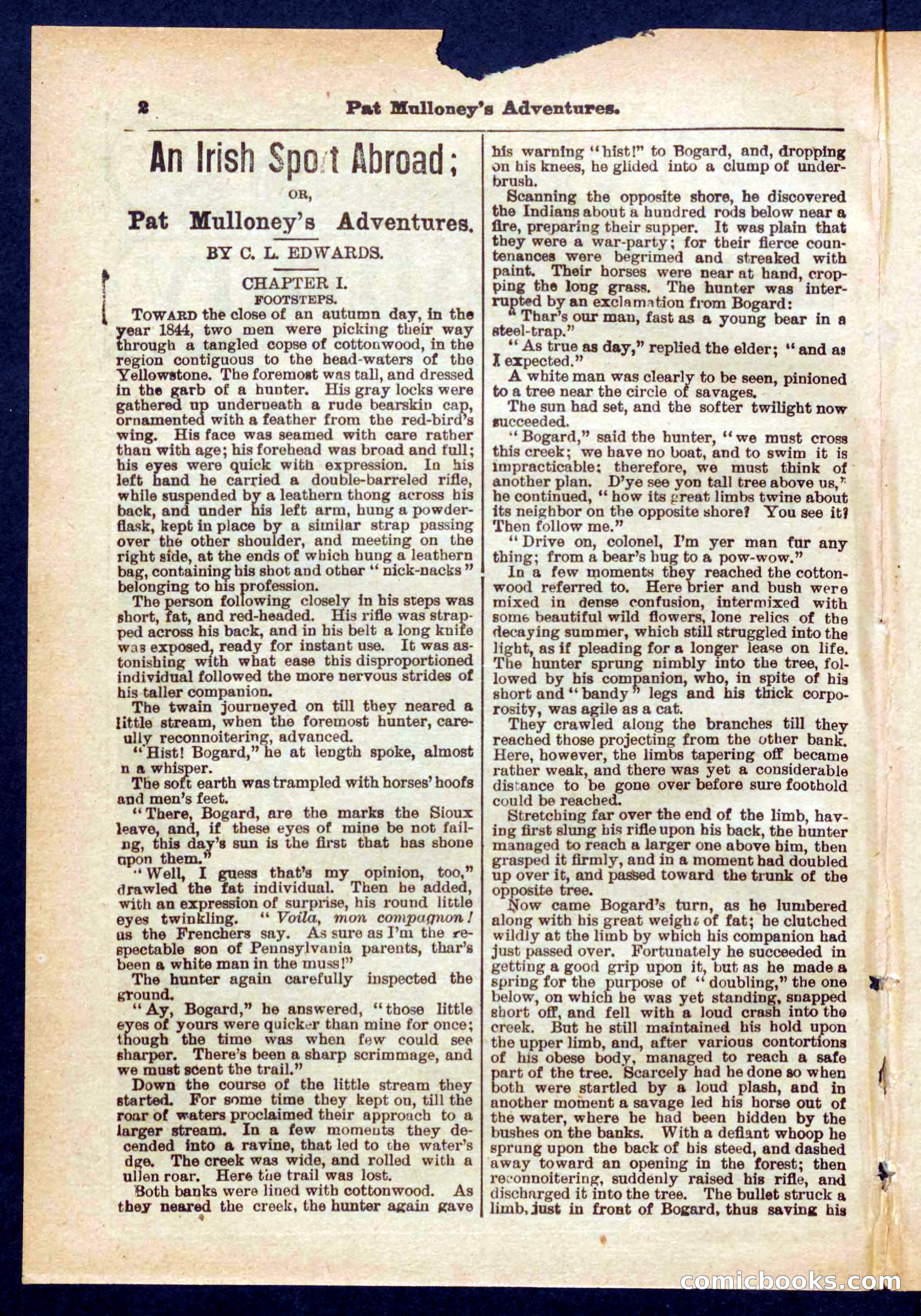 Beadle's Pocket Library No. 435 — page 2 of 32