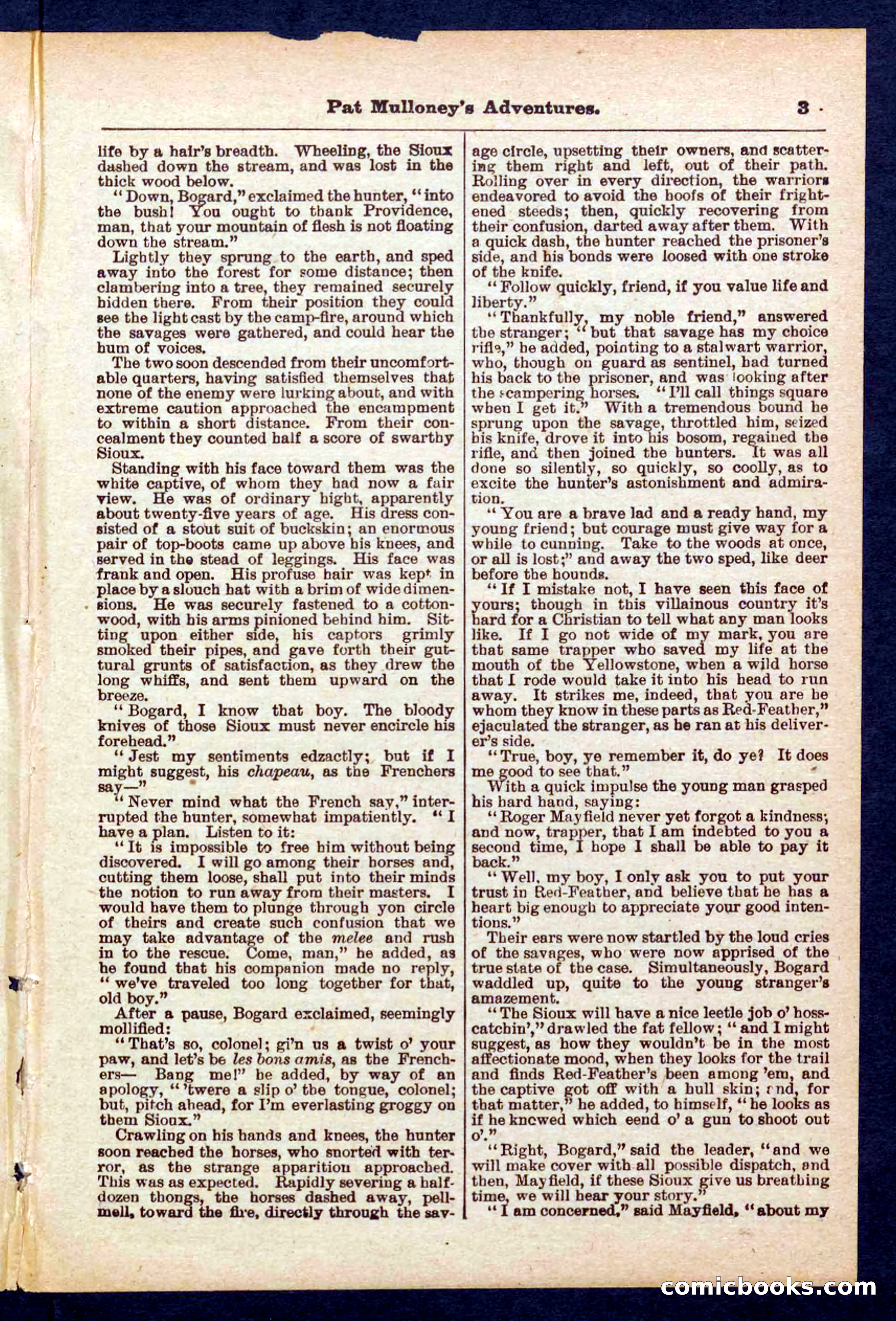 Beadle's Pocket Library No. 435 — page 3 of 32