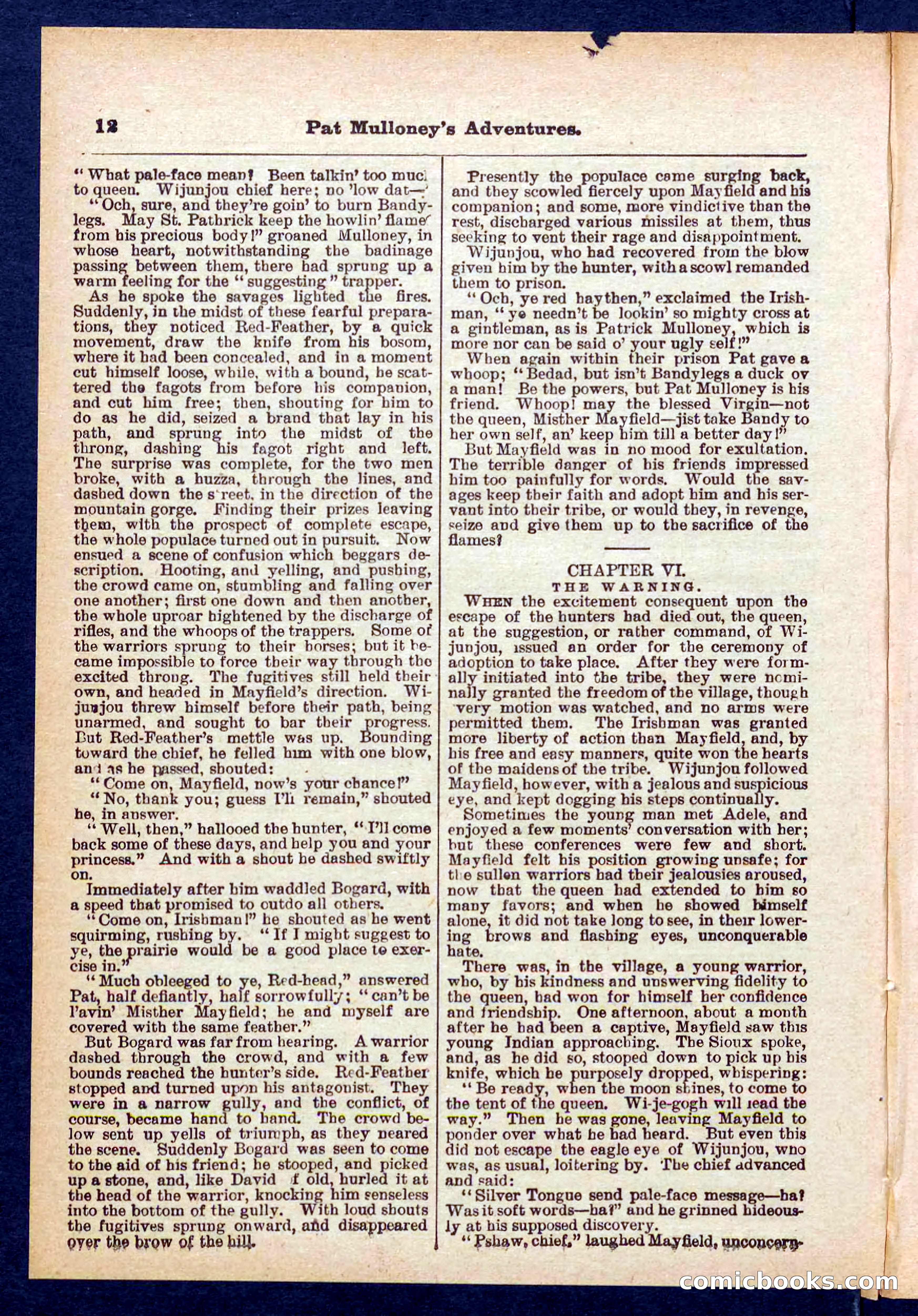 Beadle's Pocket Library No. 435 — page 12 of 32