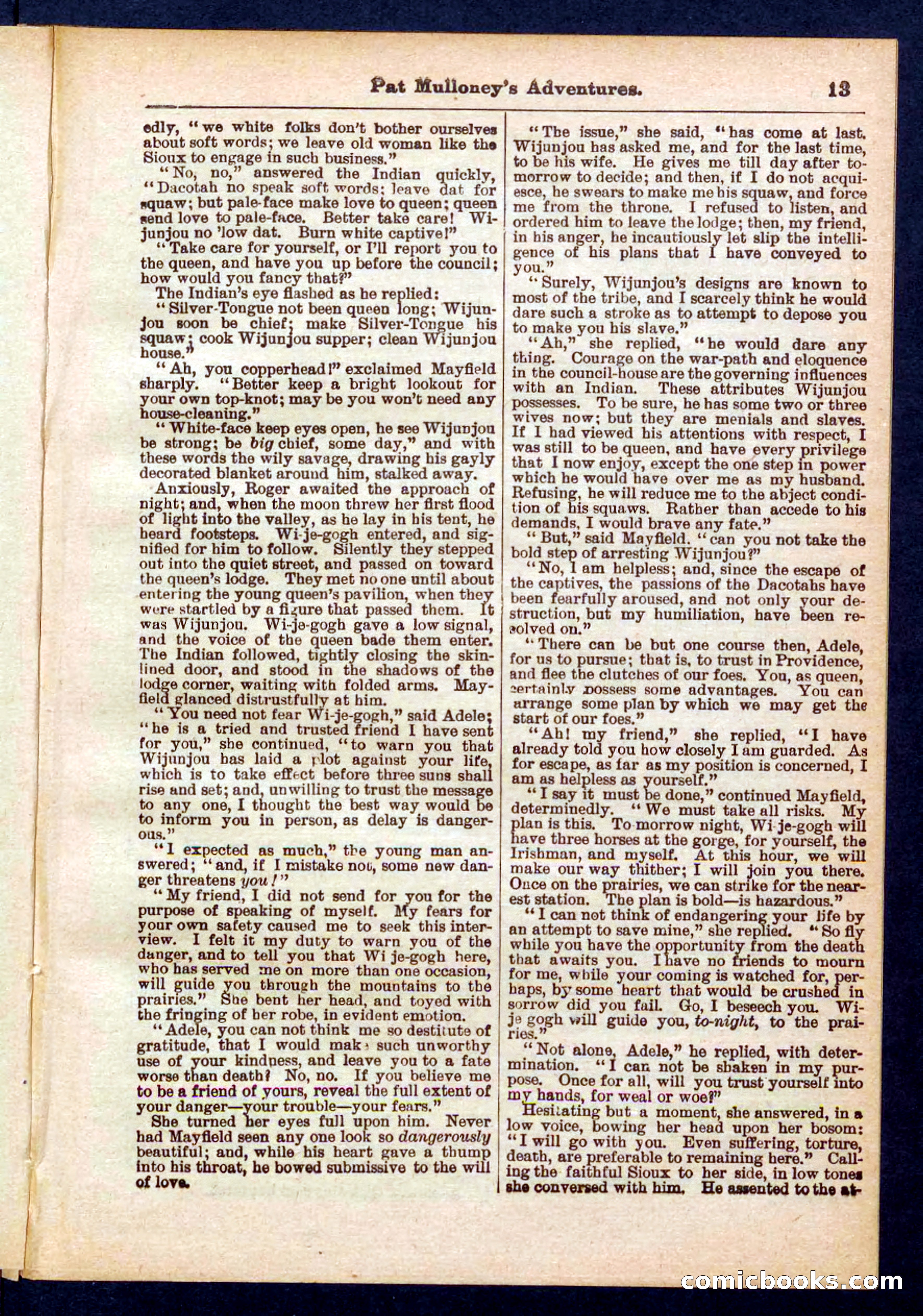 Beadle's Pocket Library No. 435 — page 13 of 32