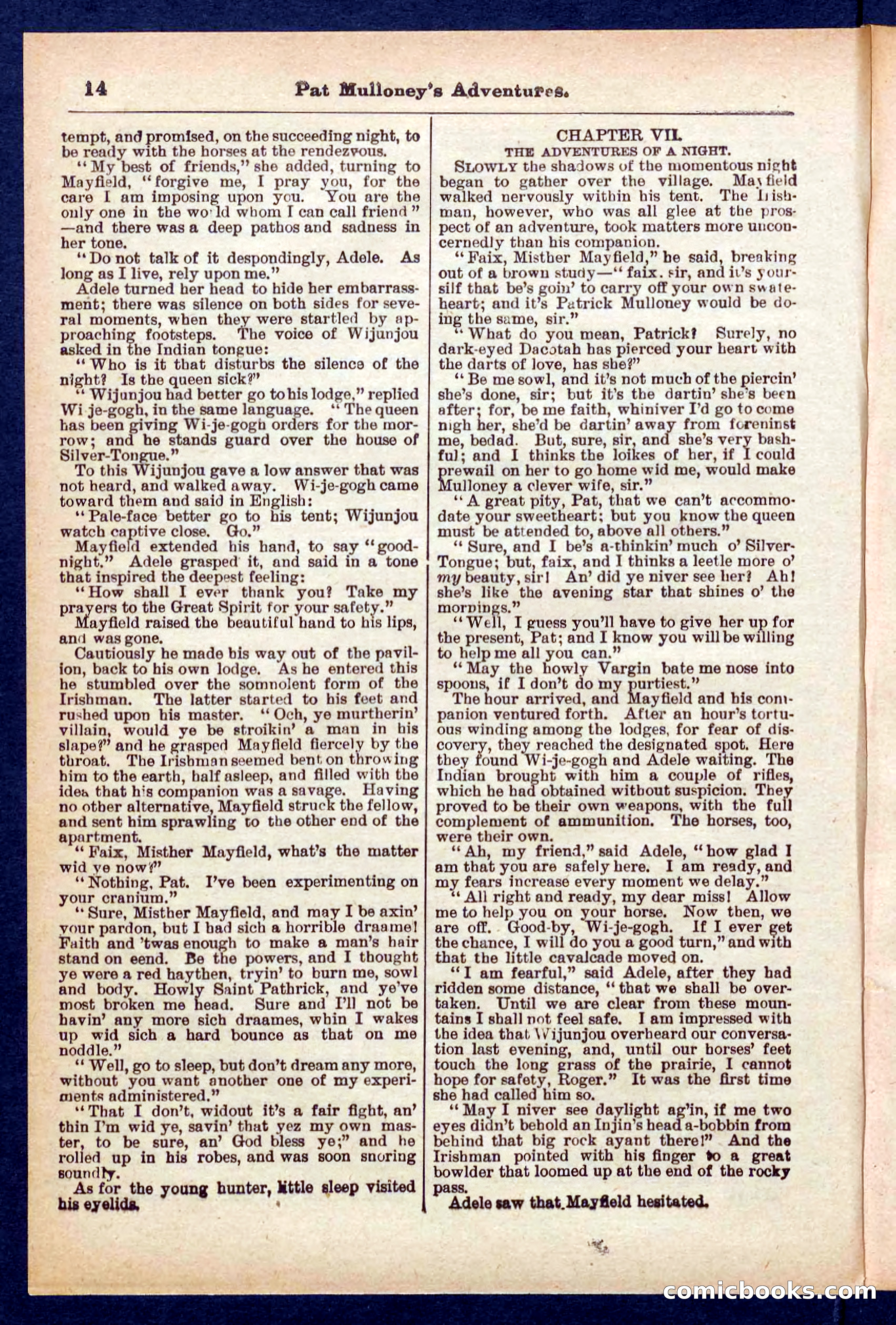 Beadle's Pocket Library No. 435 — page 14 of 32