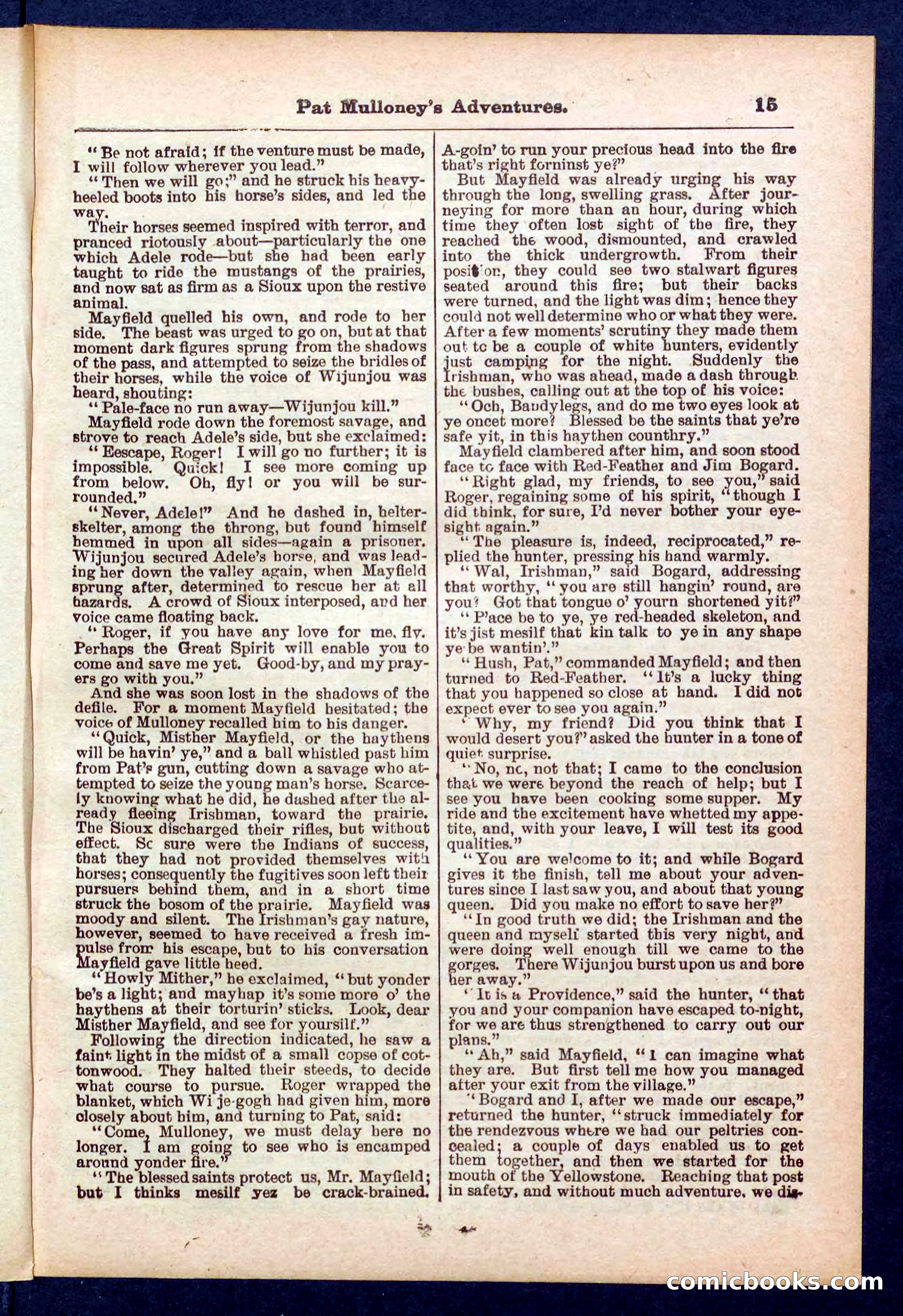 Beadle's Pocket Library No. 435 — page 15 of 32