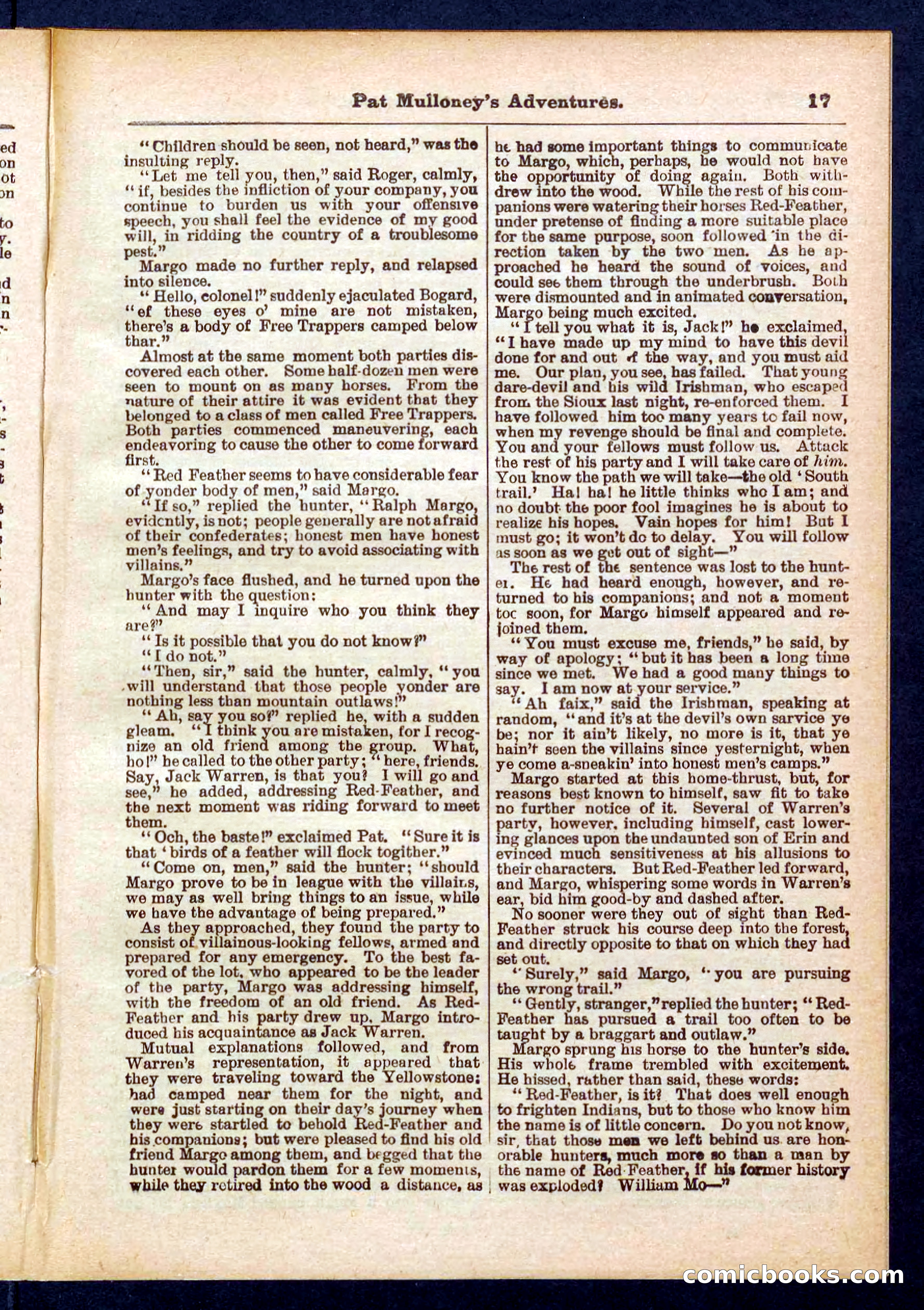 Beadle's Pocket Library No. 435 — page 17 of 32