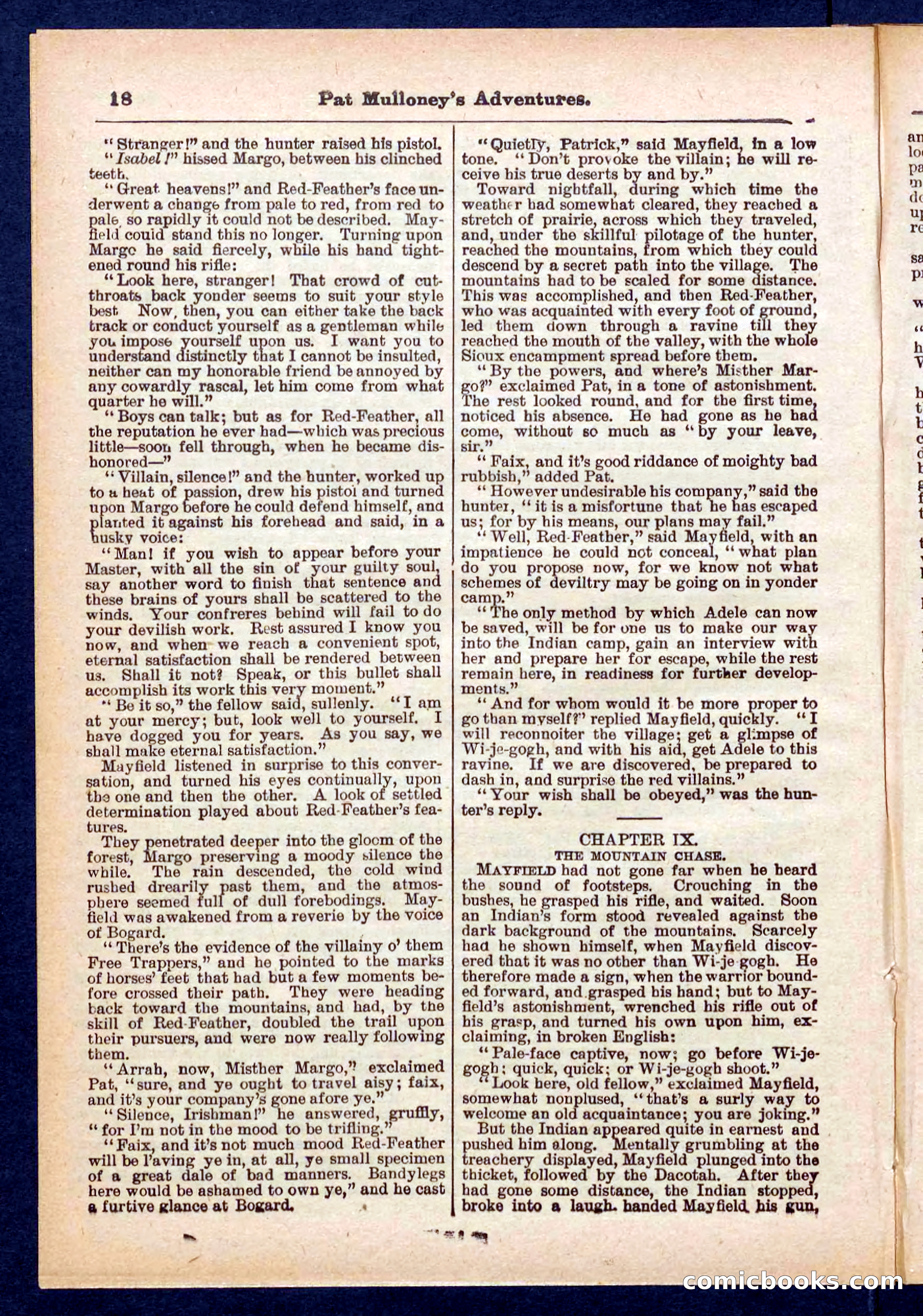 Beadle's Pocket Library No. 435 — page 18 of 32