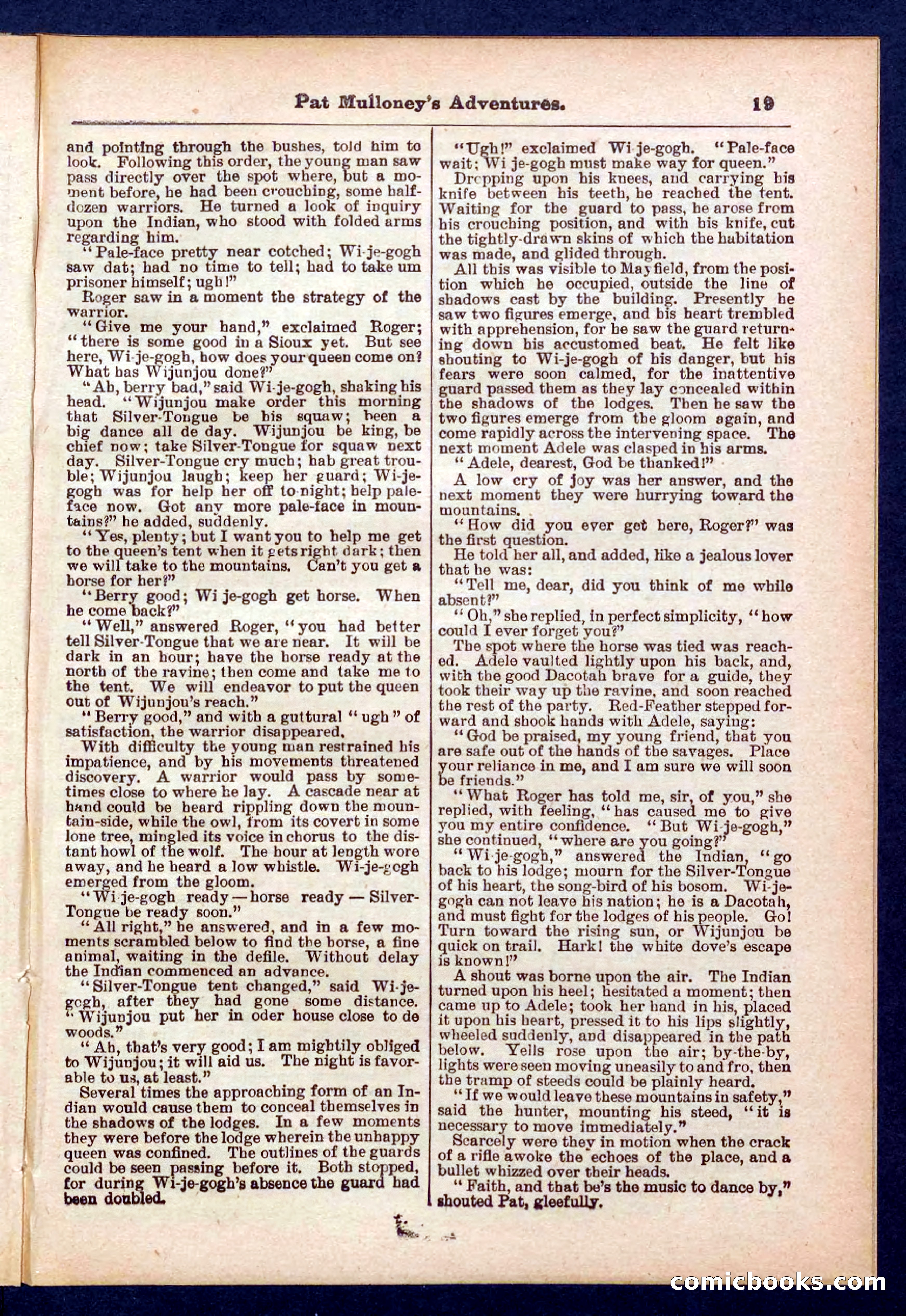 Beadle's Pocket Library No. 435 — page 19 of 32