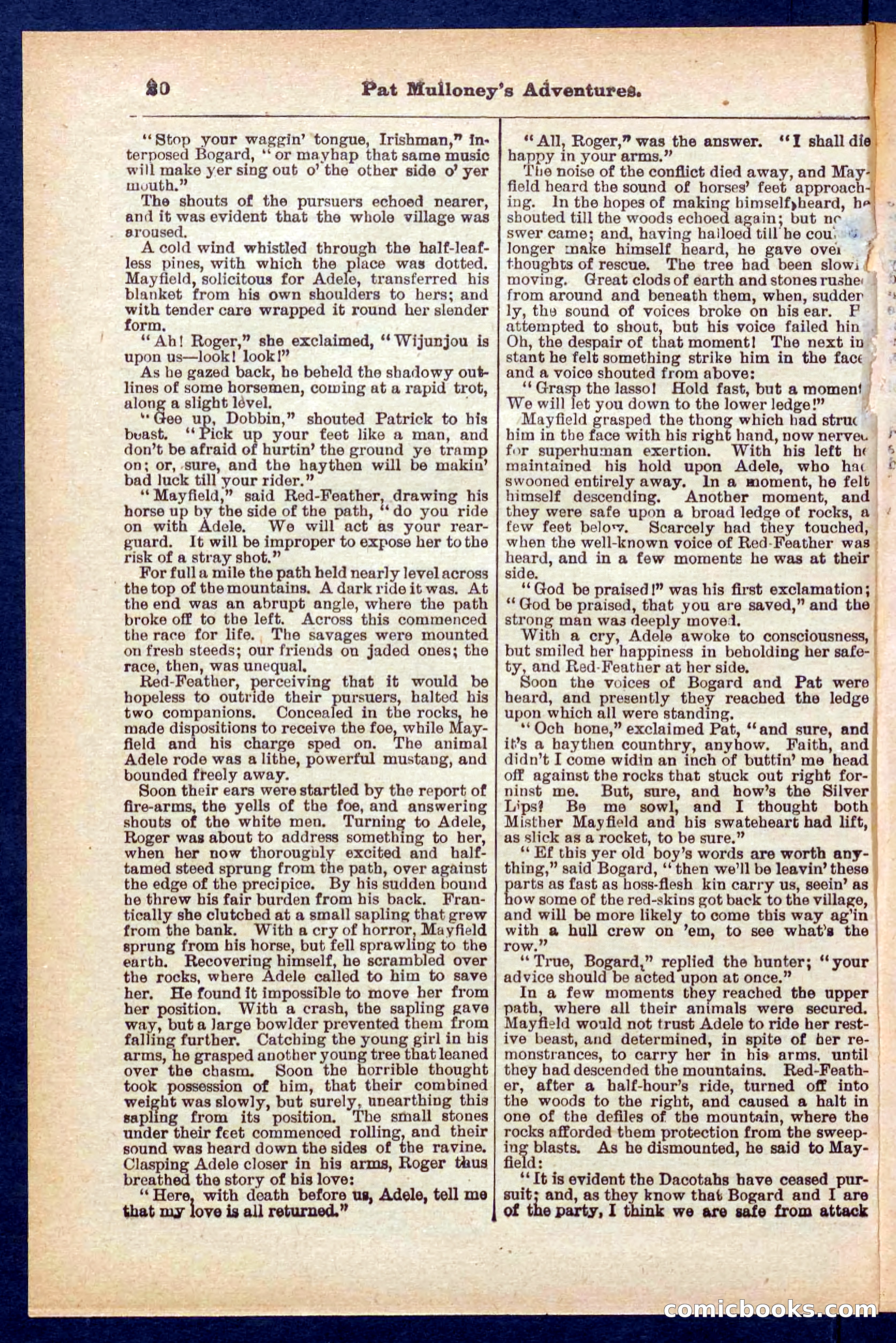 Beadle's Pocket Library No. 435 — page 20 of 32