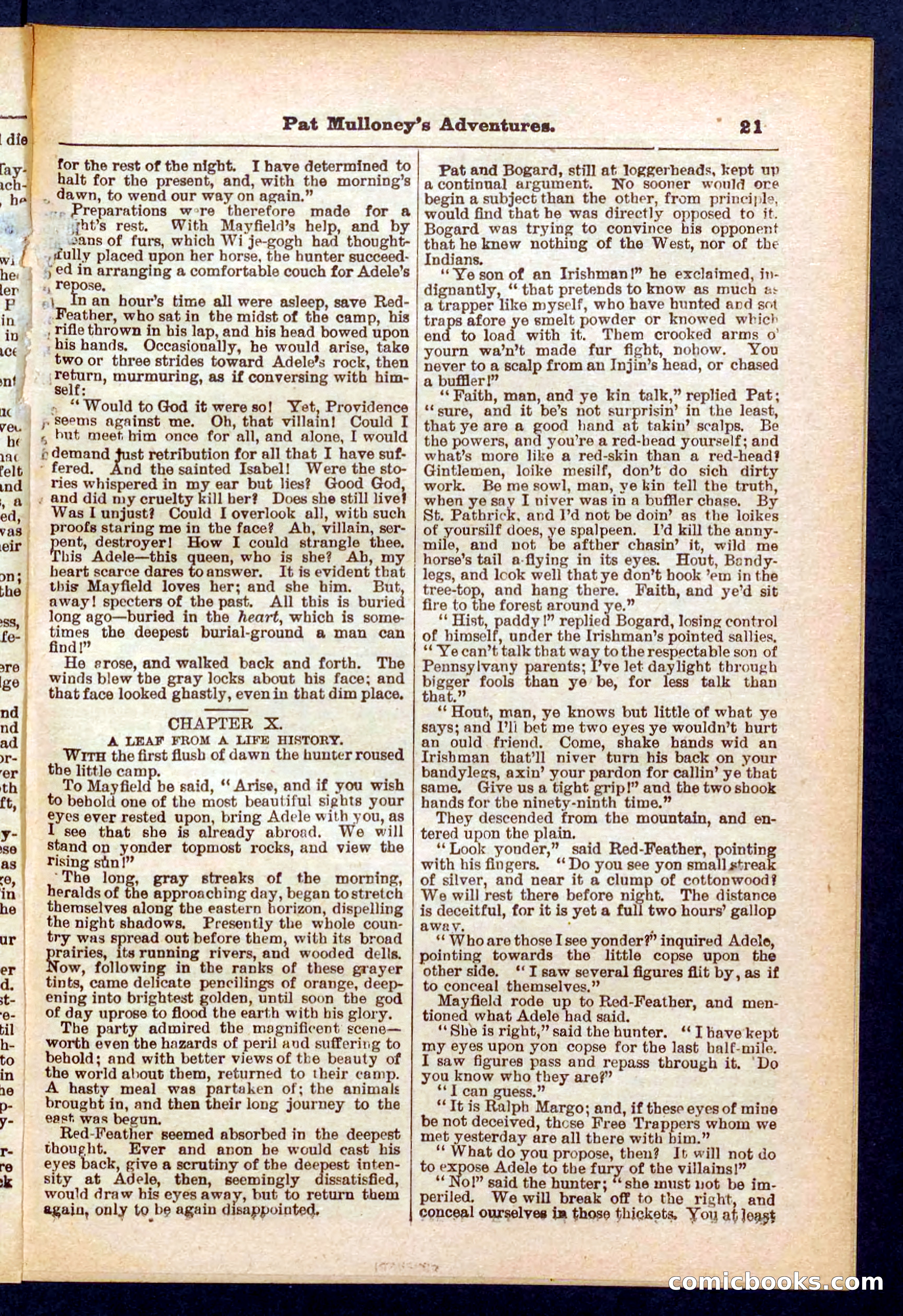 Beadle's Pocket Library No. 435 — page 21 of 32
