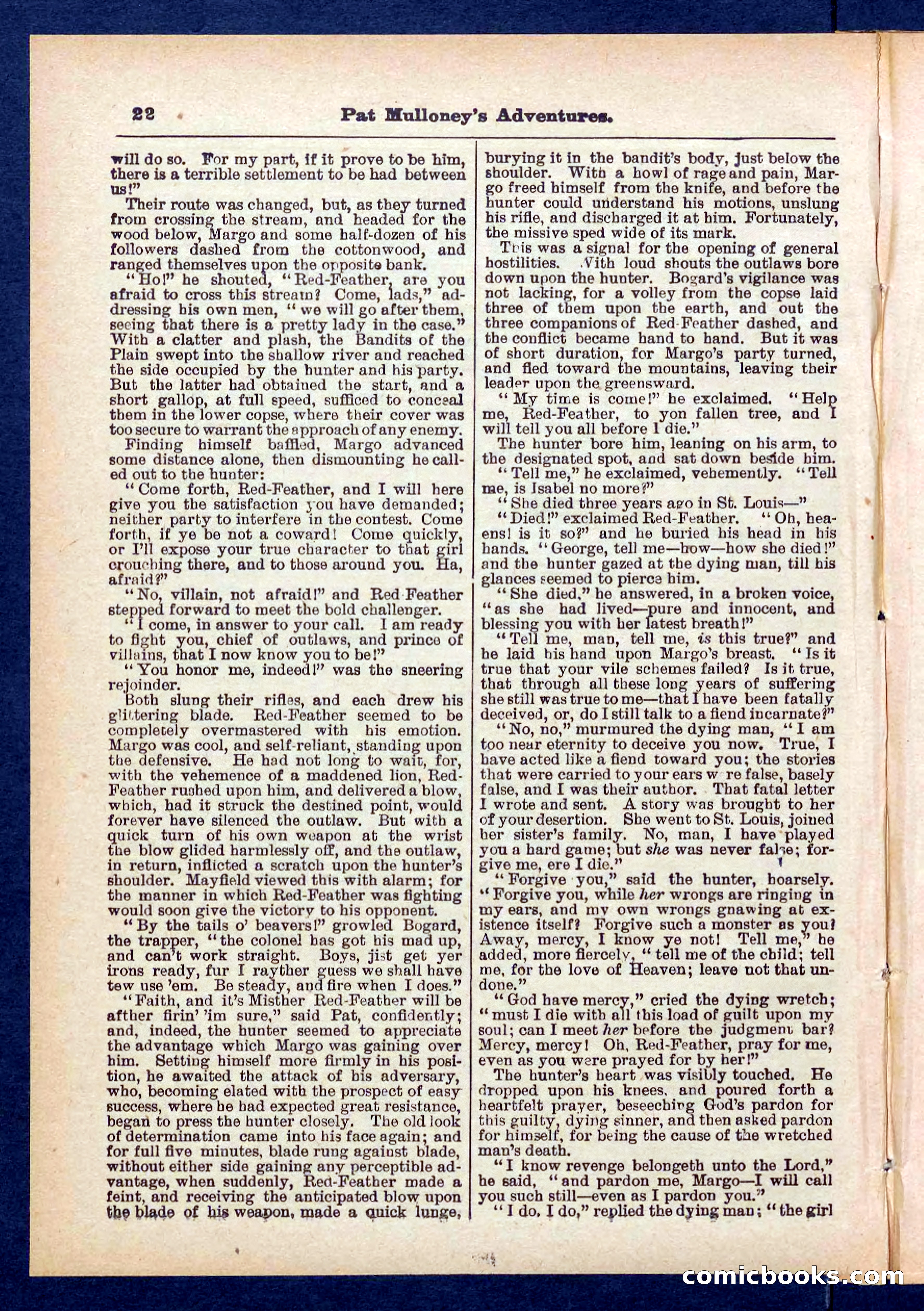Beadle's Pocket Library No. 435 — page 22 of 32