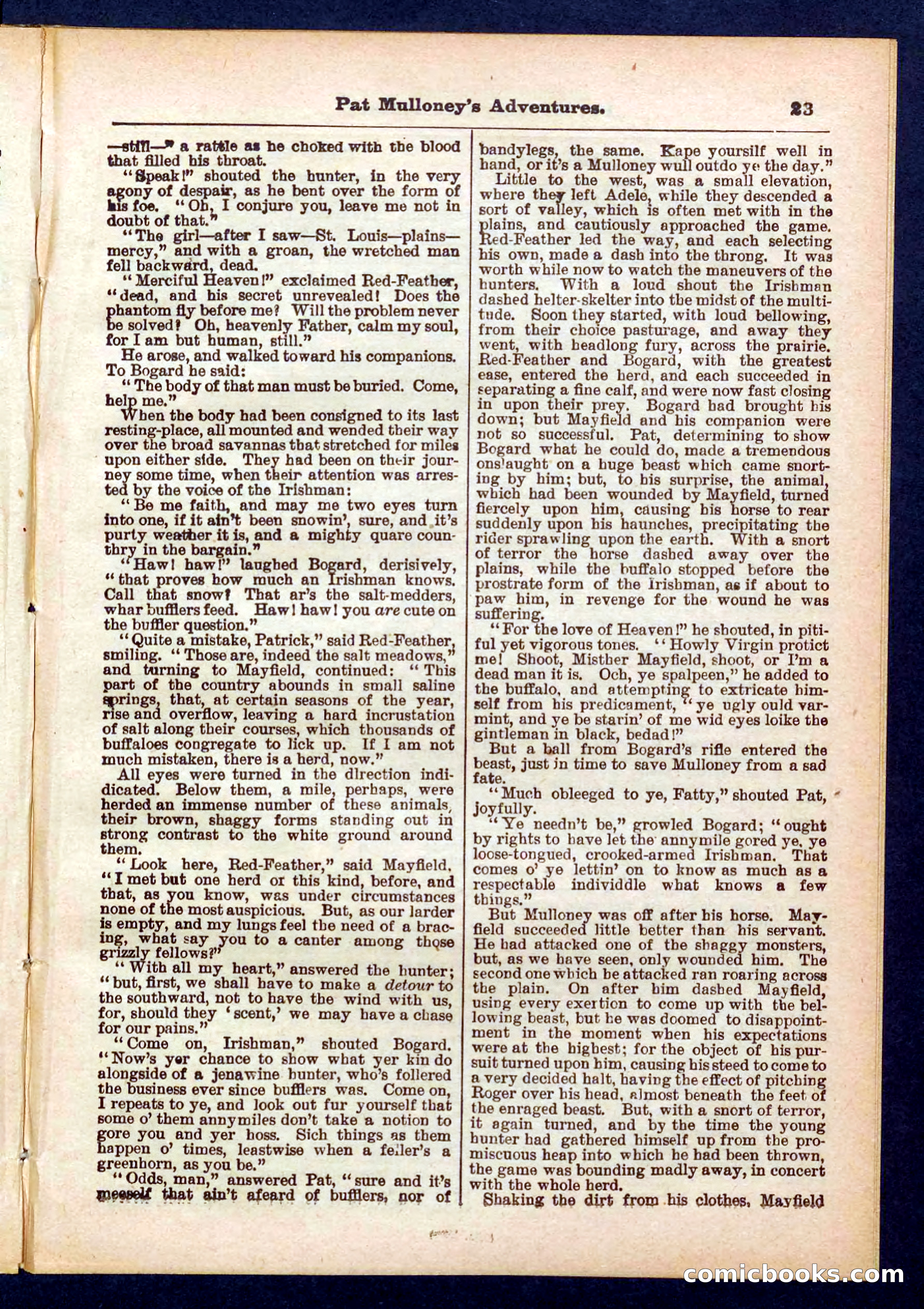 Beadle's Pocket Library No. 435 — page 23 of 32