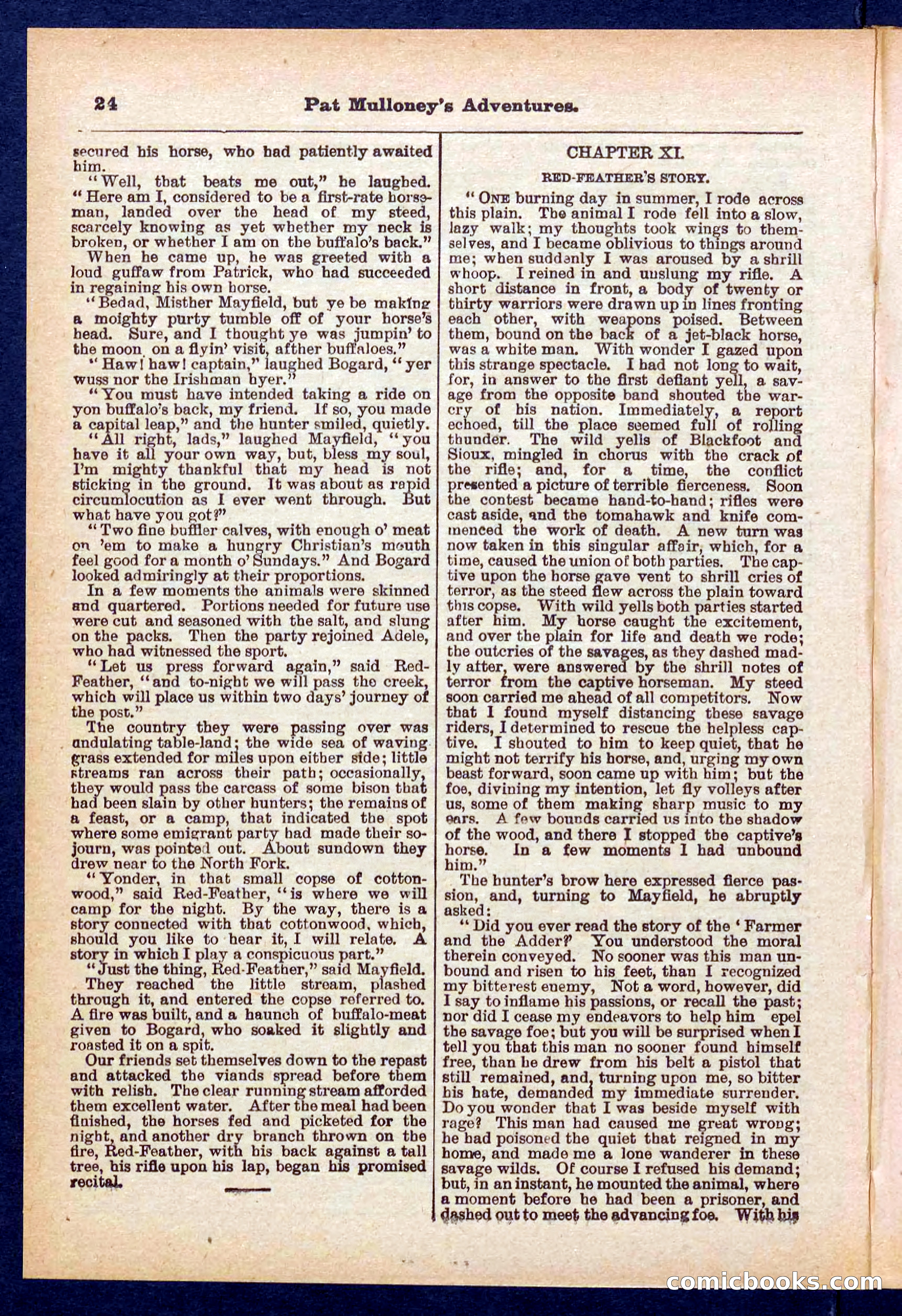 Beadle's Pocket Library No. 435 — page 24 of 32