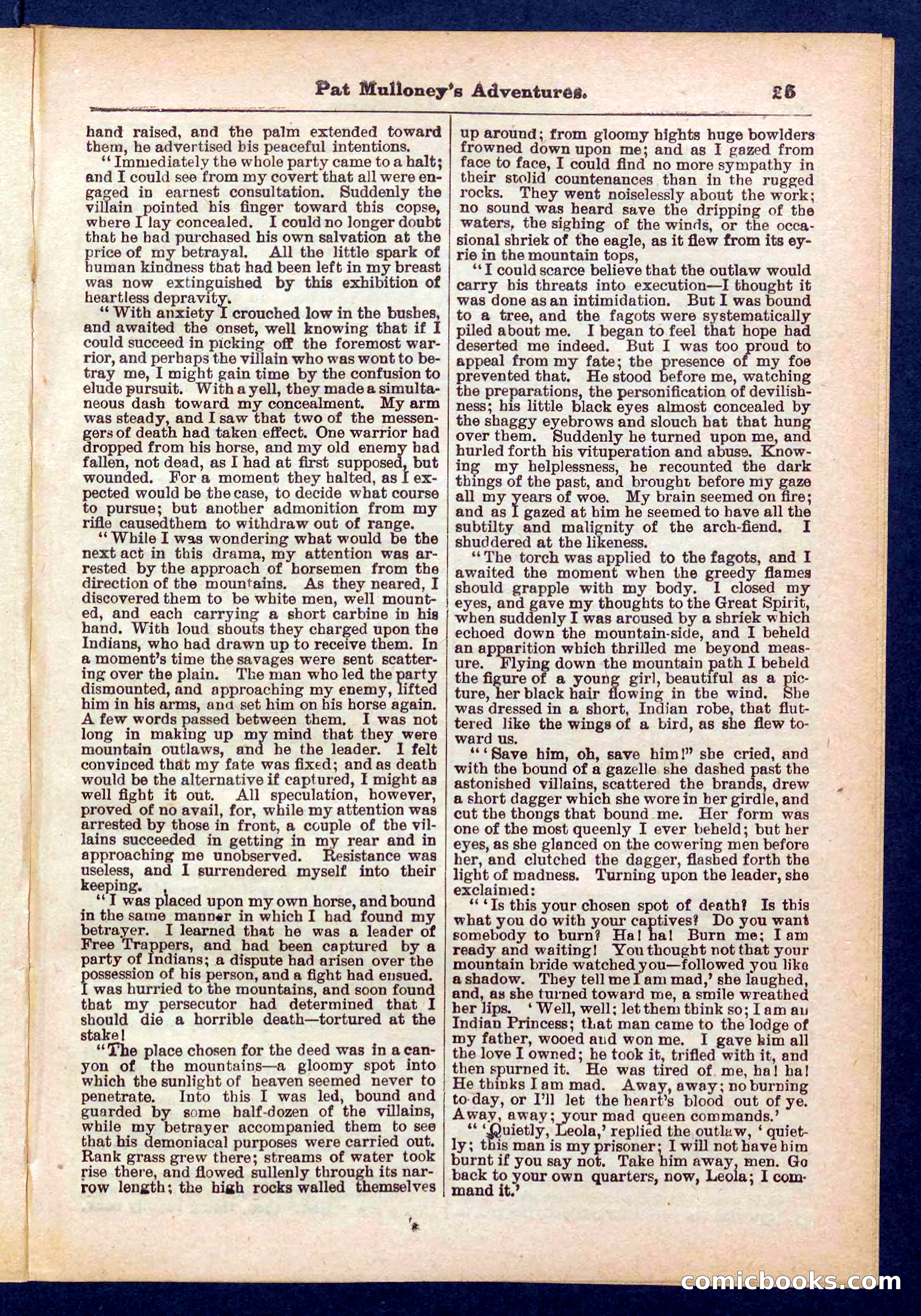 Beadle's Pocket Library No. 435 — page 25 of 32