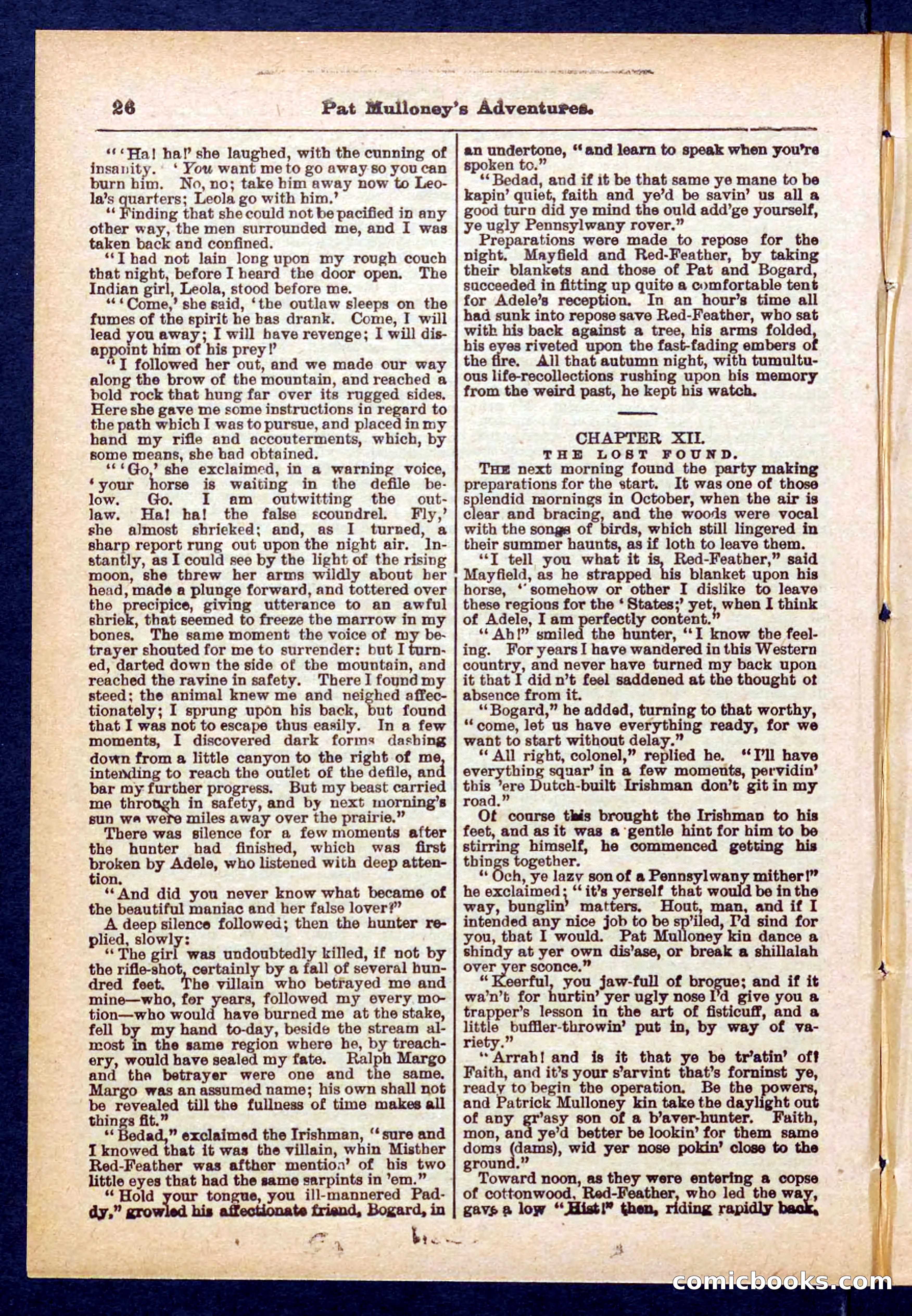 Beadle's Pocket Library No. 435 — page 26 of 32