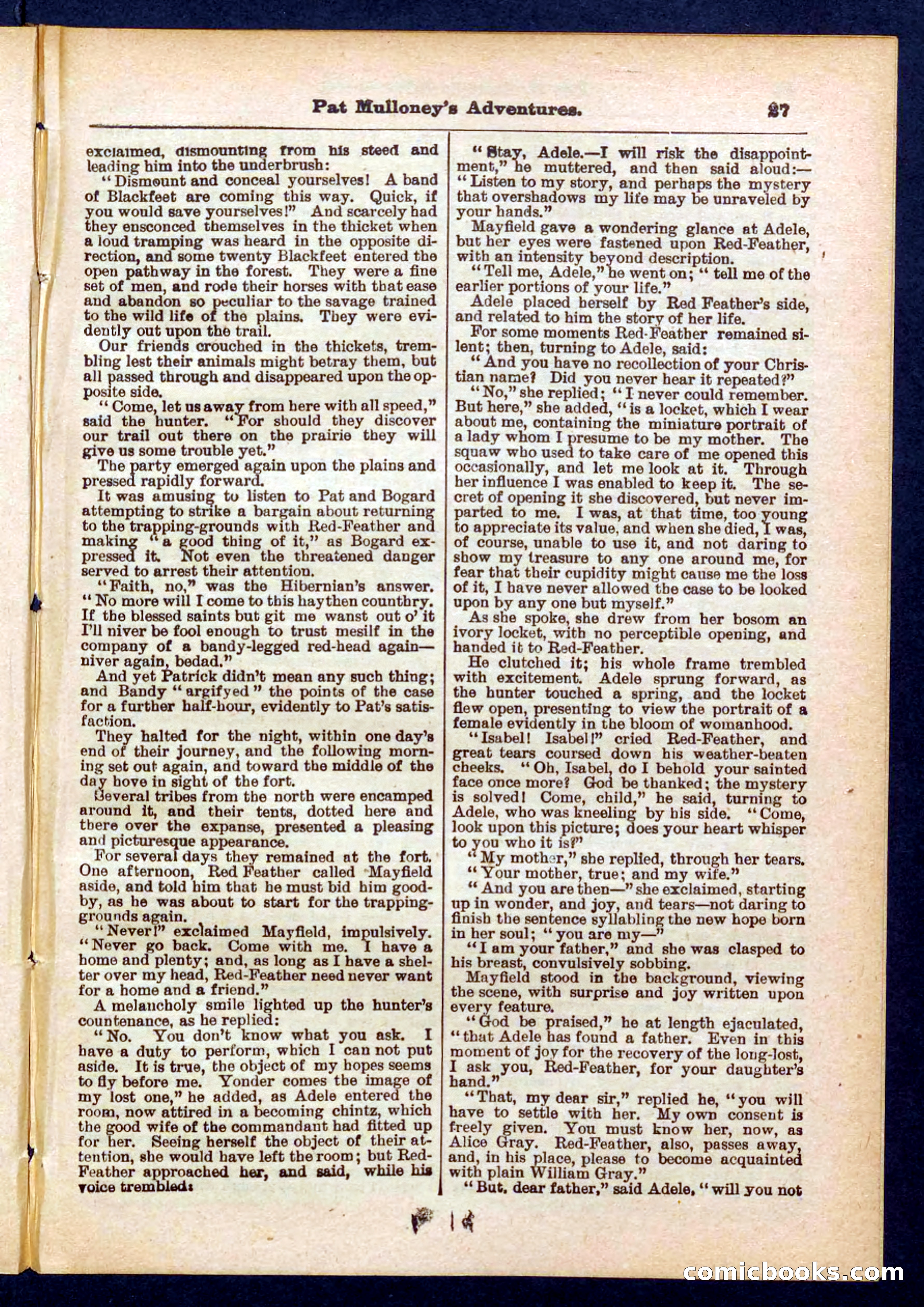 Beadle's Pocket Library No. 435 — page 27 of 32