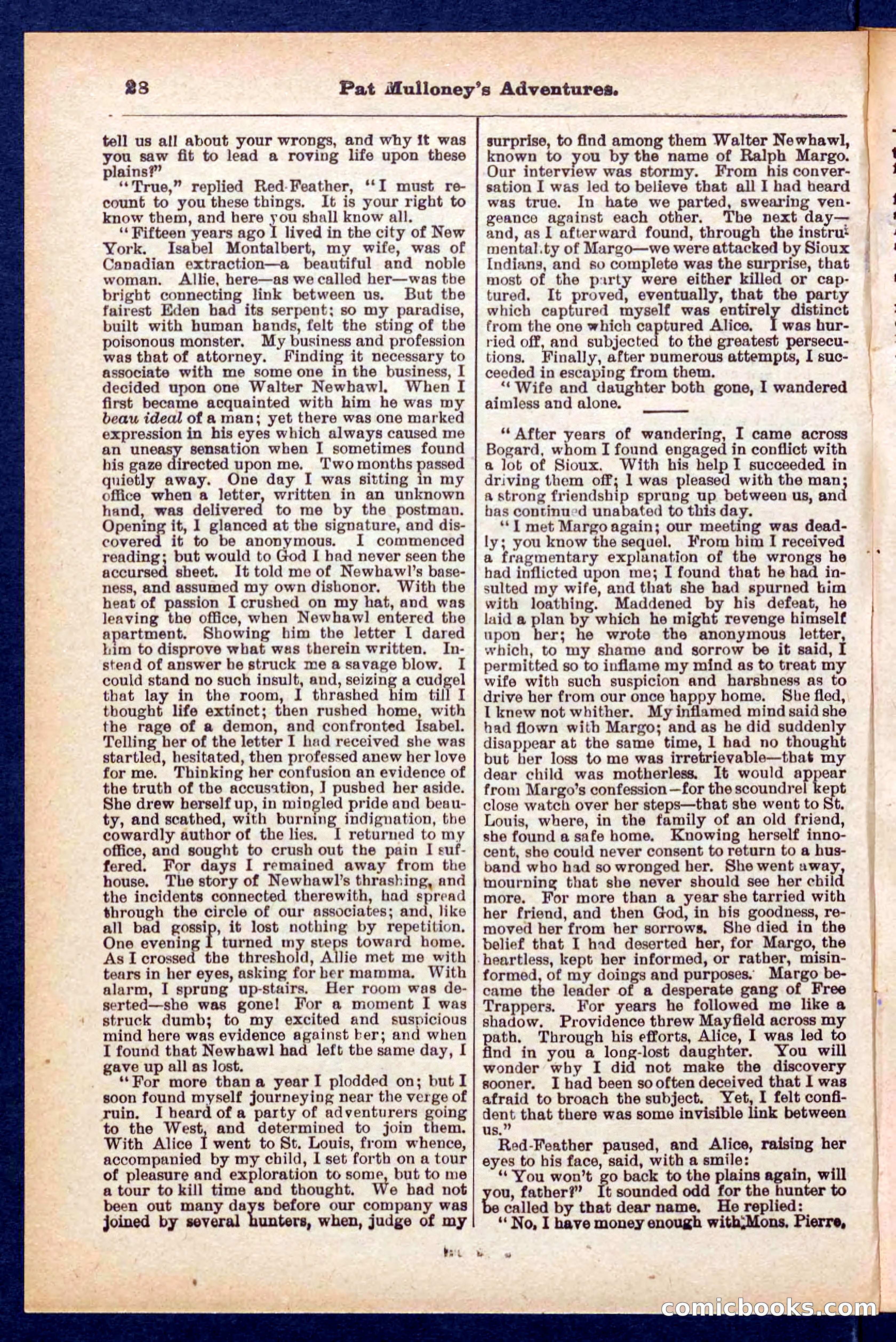 Beadle's Pocket Library No. 435 — page 28 of 32