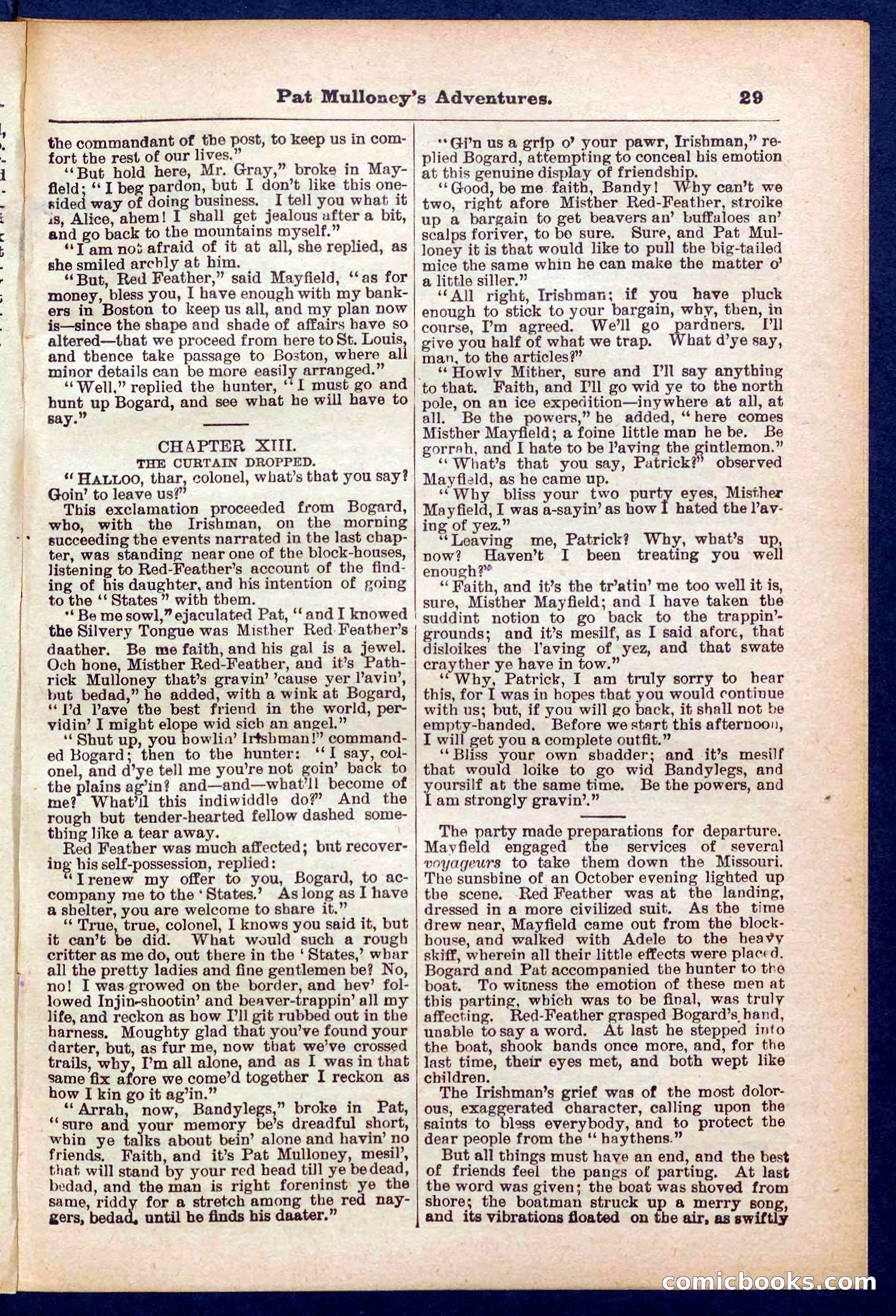 Beadle's Pocket Library No. 435 — page 29 of 32
