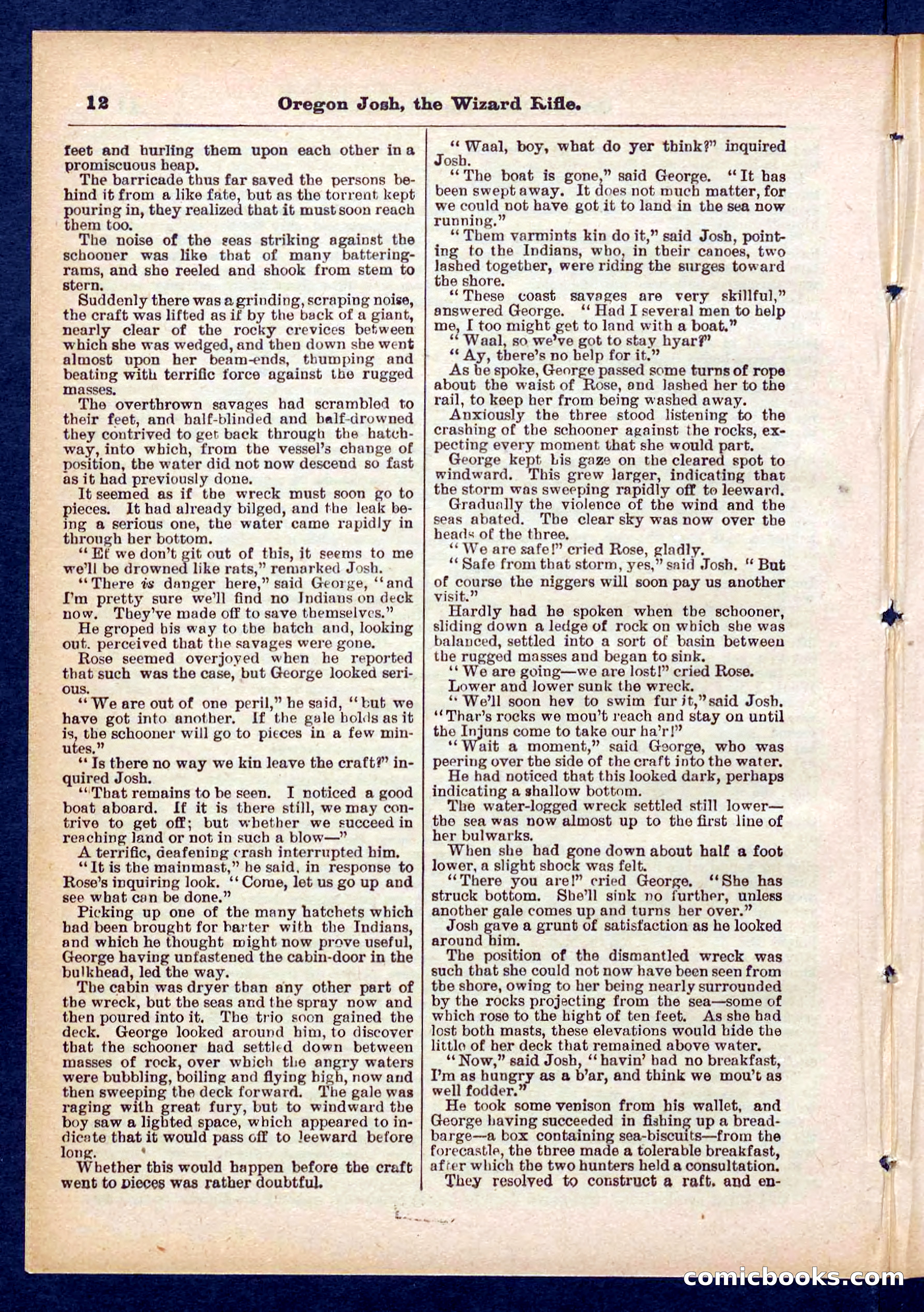 Beadle's Pocket Library No. 436 — page 12 of 32