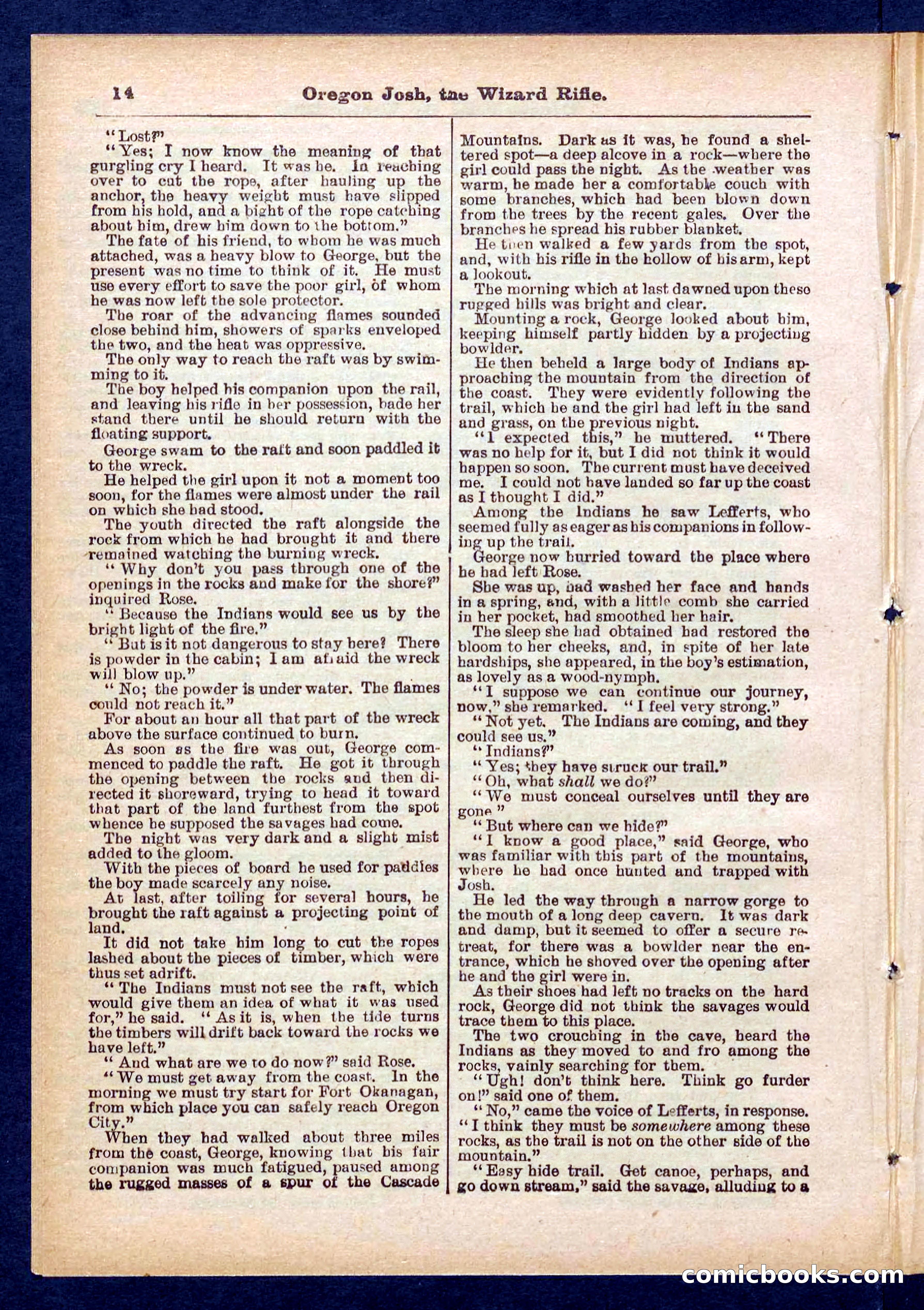 Beadle's Pocket Library No. 436 — page 14 of 32