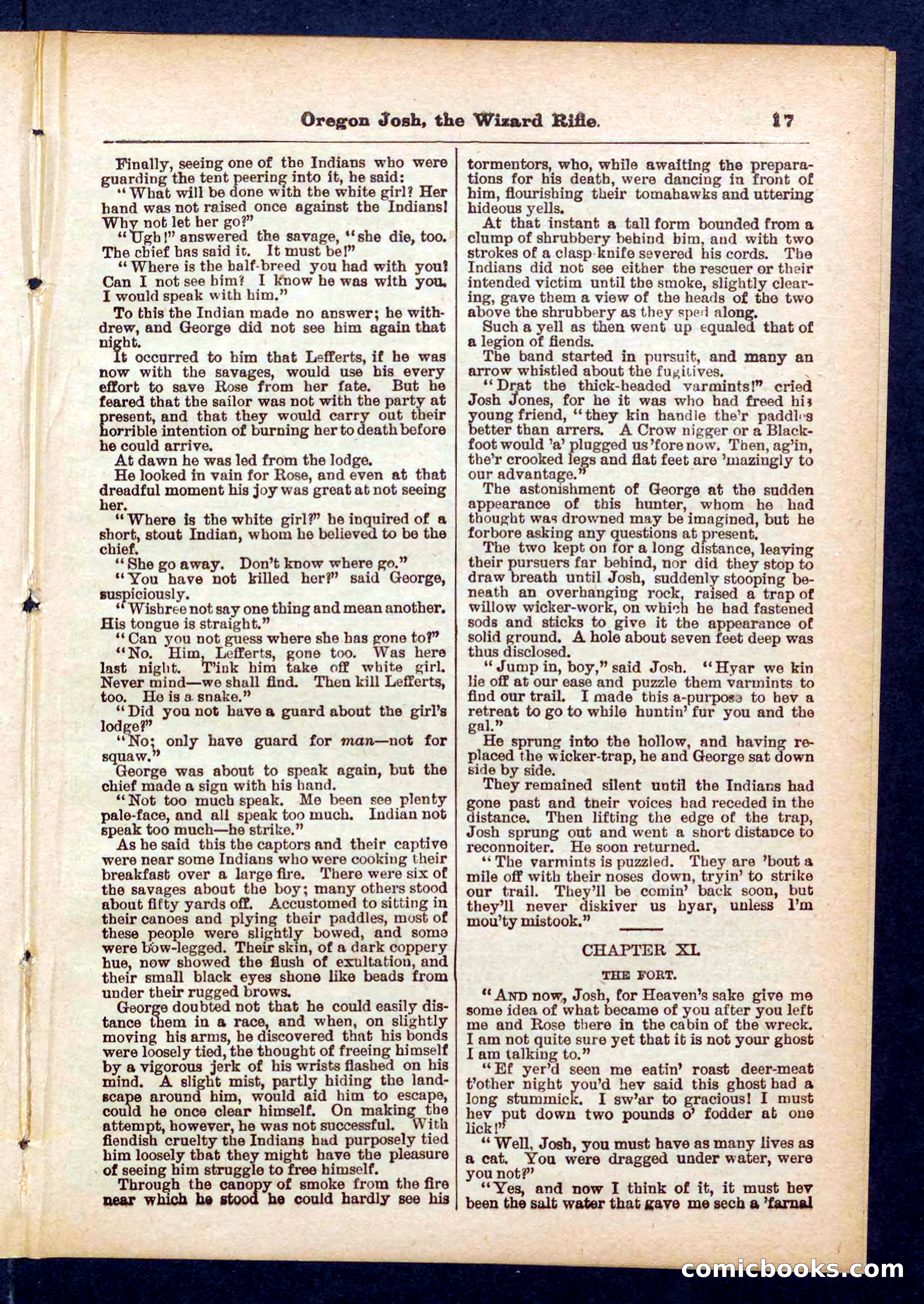 Beadle's Pocket Library No. 436 — page 17 of 32