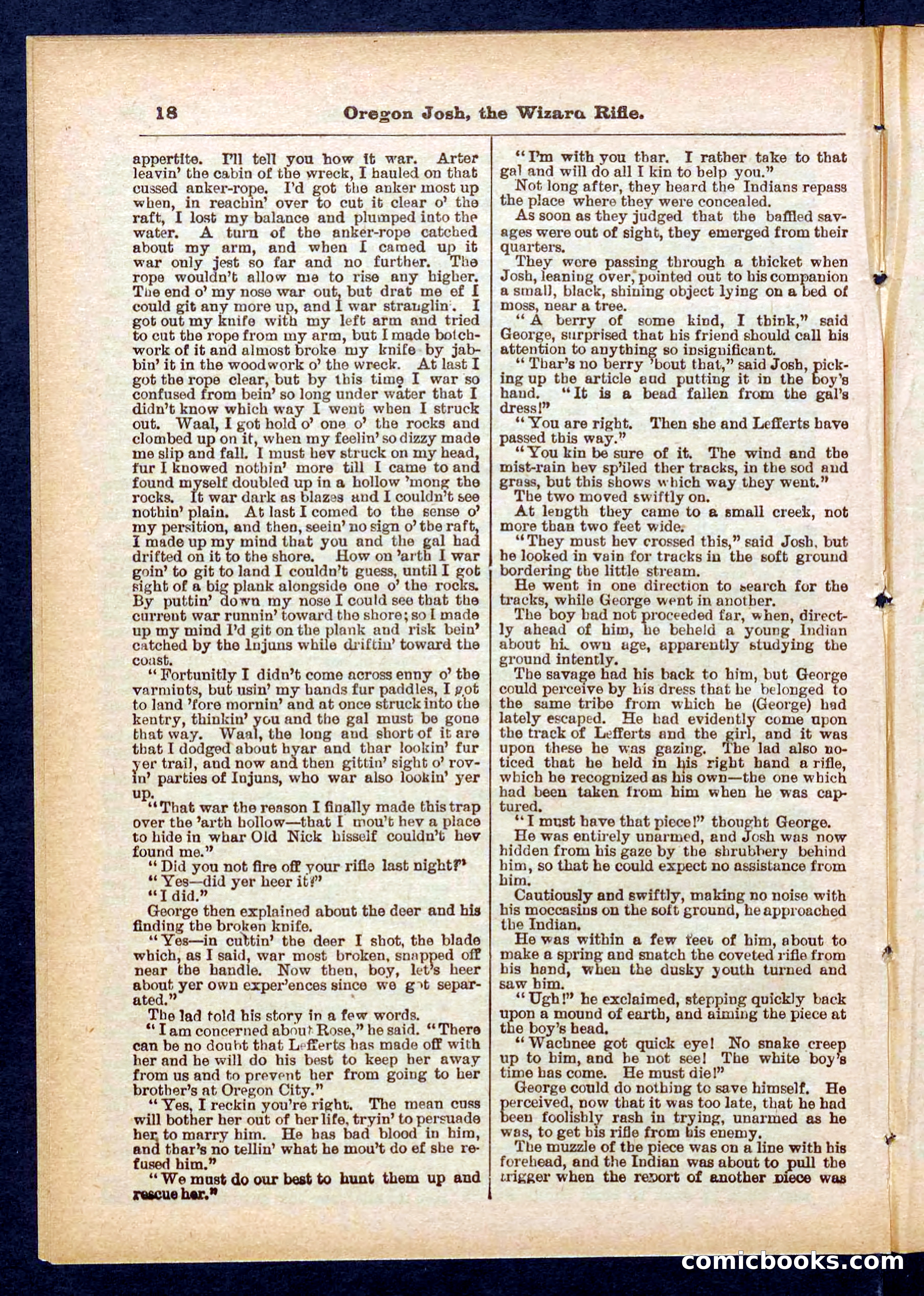 Beadle's Pocket Library No. 436 — page 18 of 32