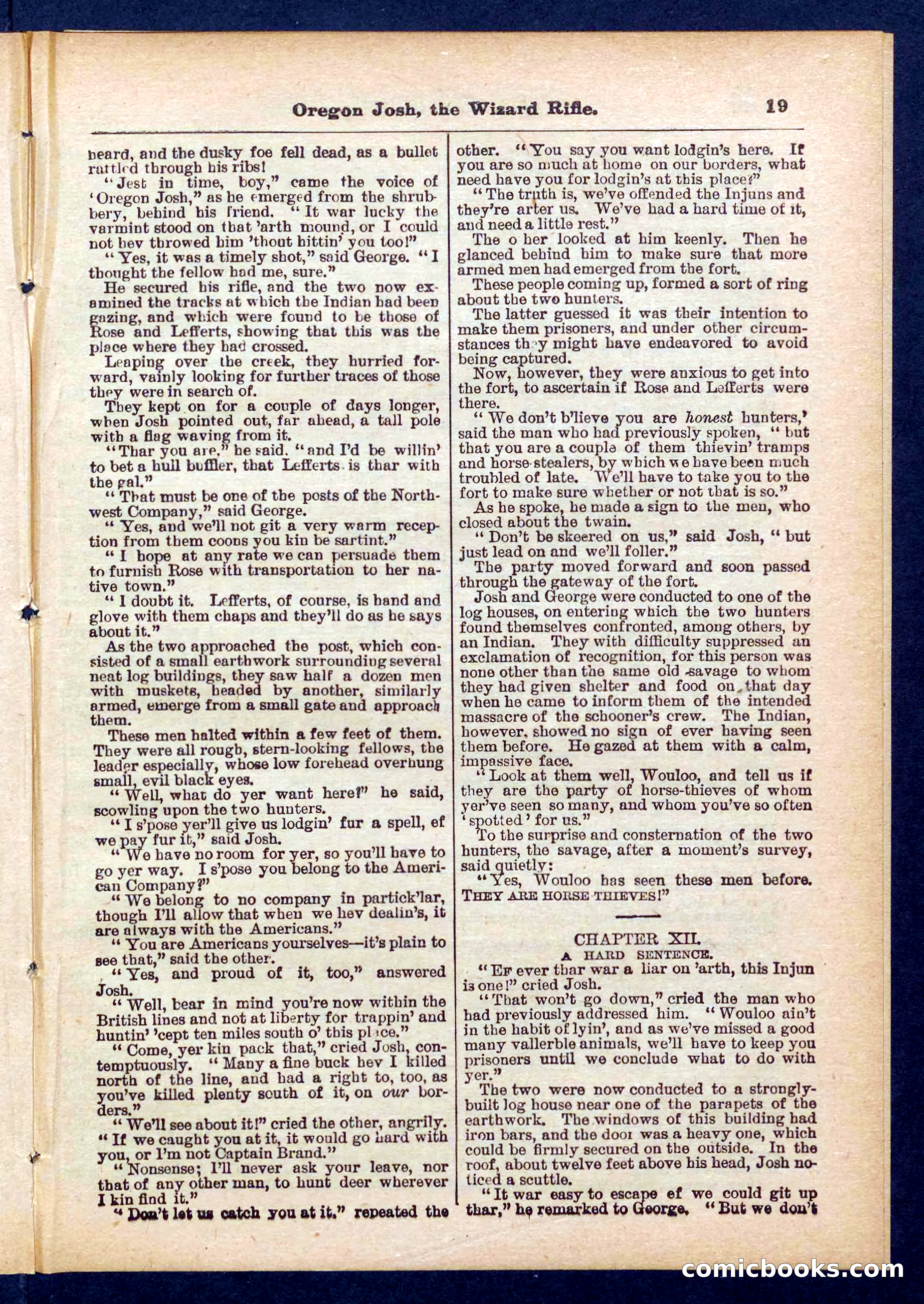 Beadle's Pocket Library No. 436 — page 19 of 32