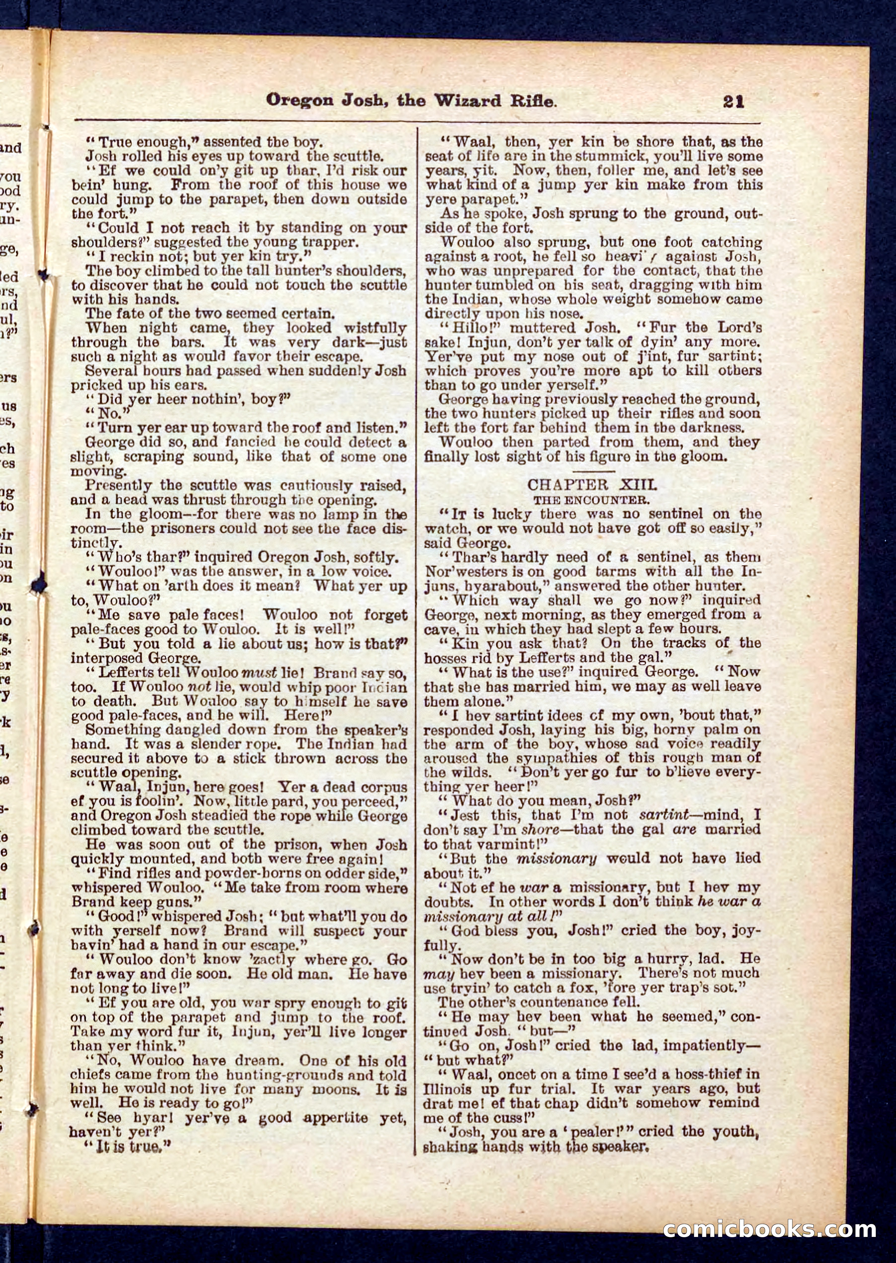 Beadle's Pocket Library No. 436 — page 21 of 32