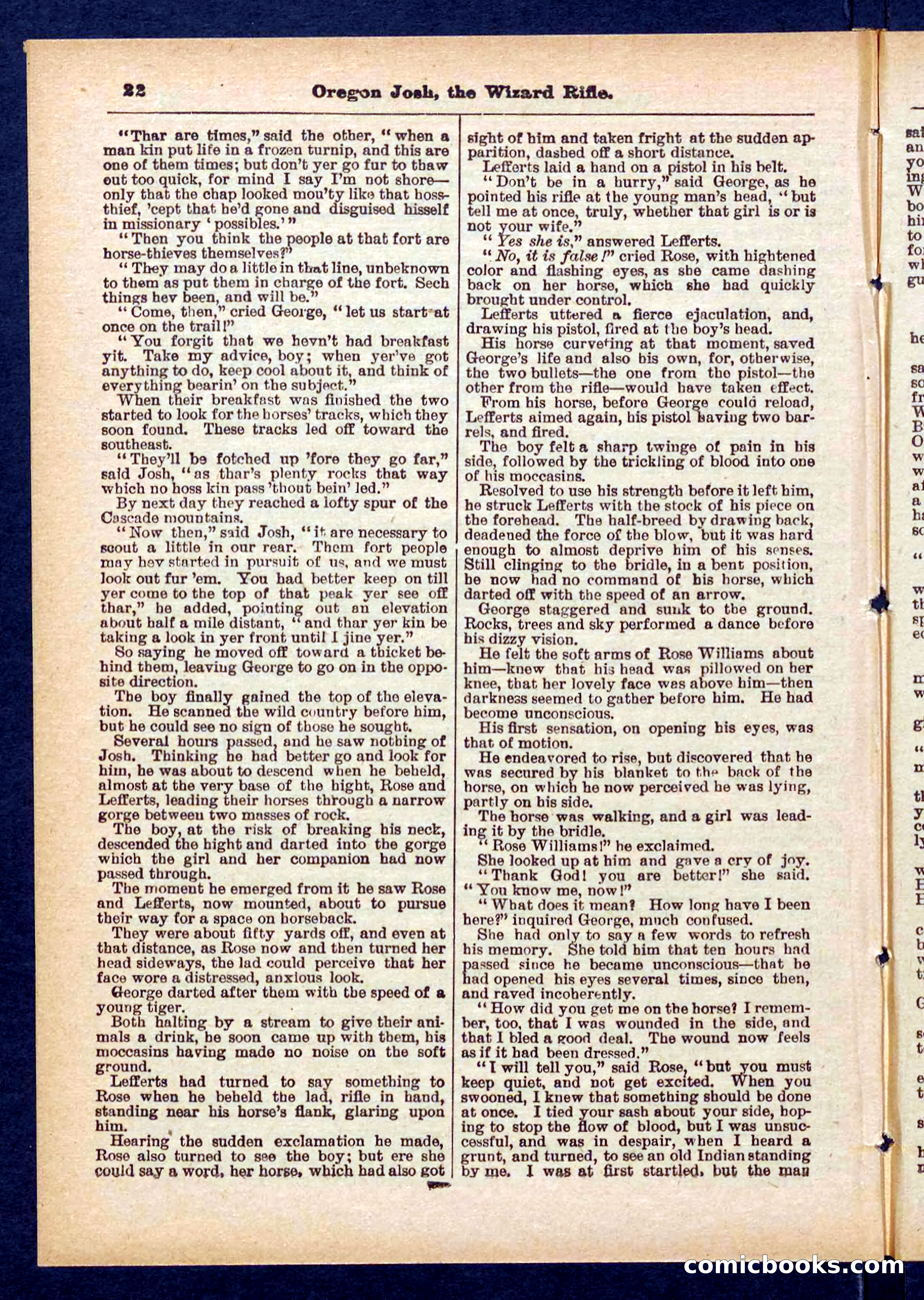 Beadle's Pocket Library No. 436 — page 22 of 32