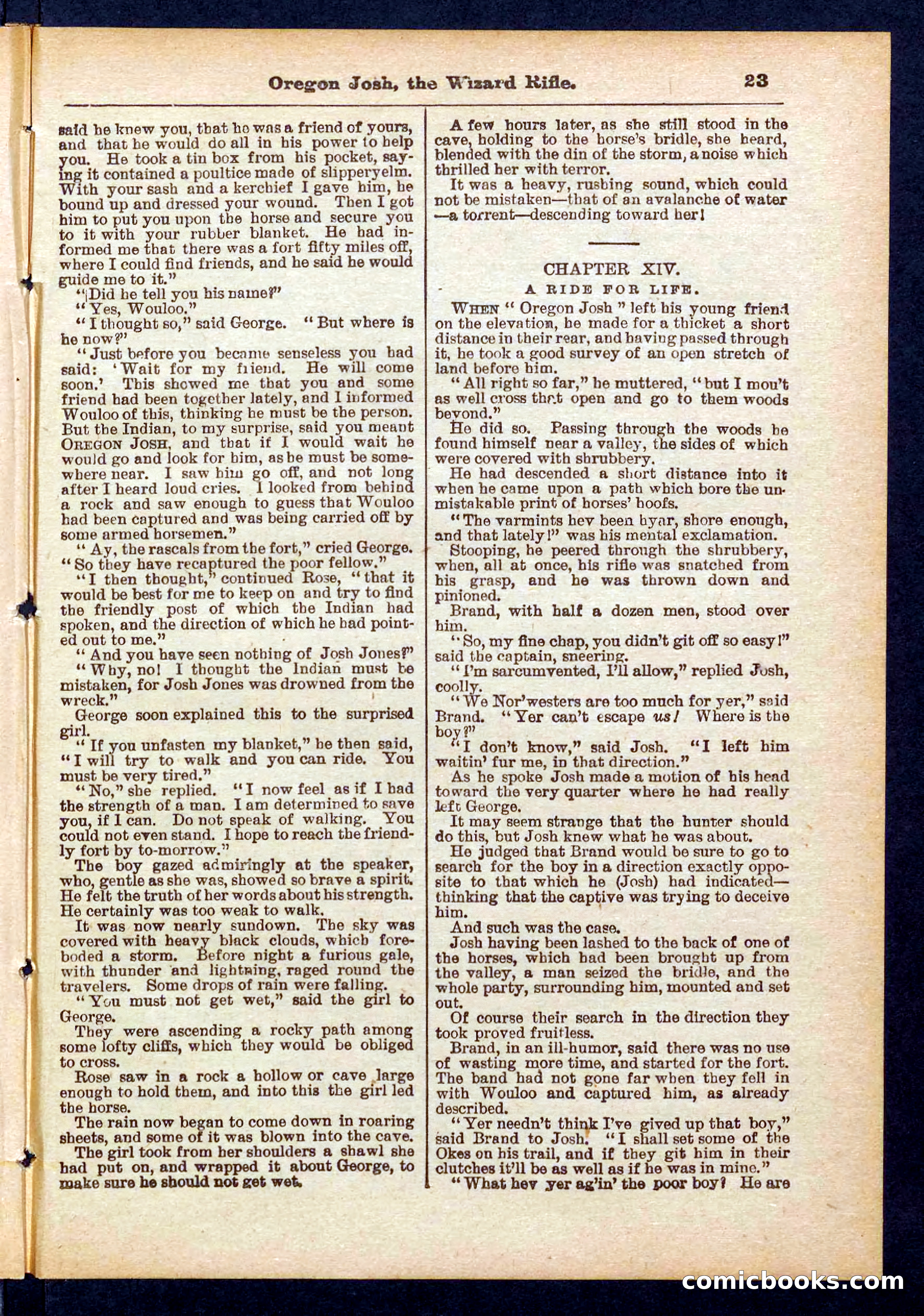 Beadle's Pocket Library No. 436 — page 23 of 32