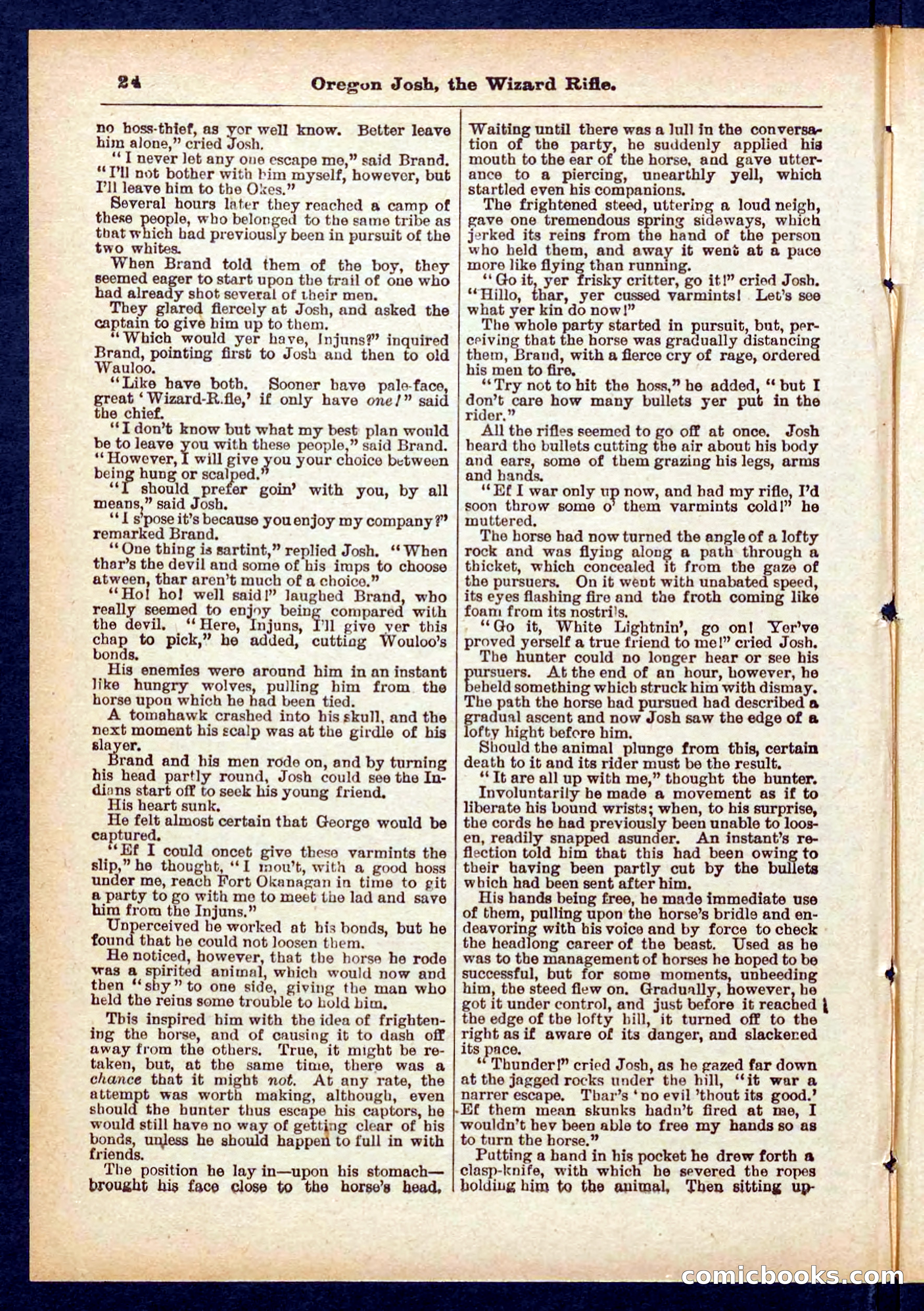 Beadle's Pocket Library No. 436 — page 24 of 32