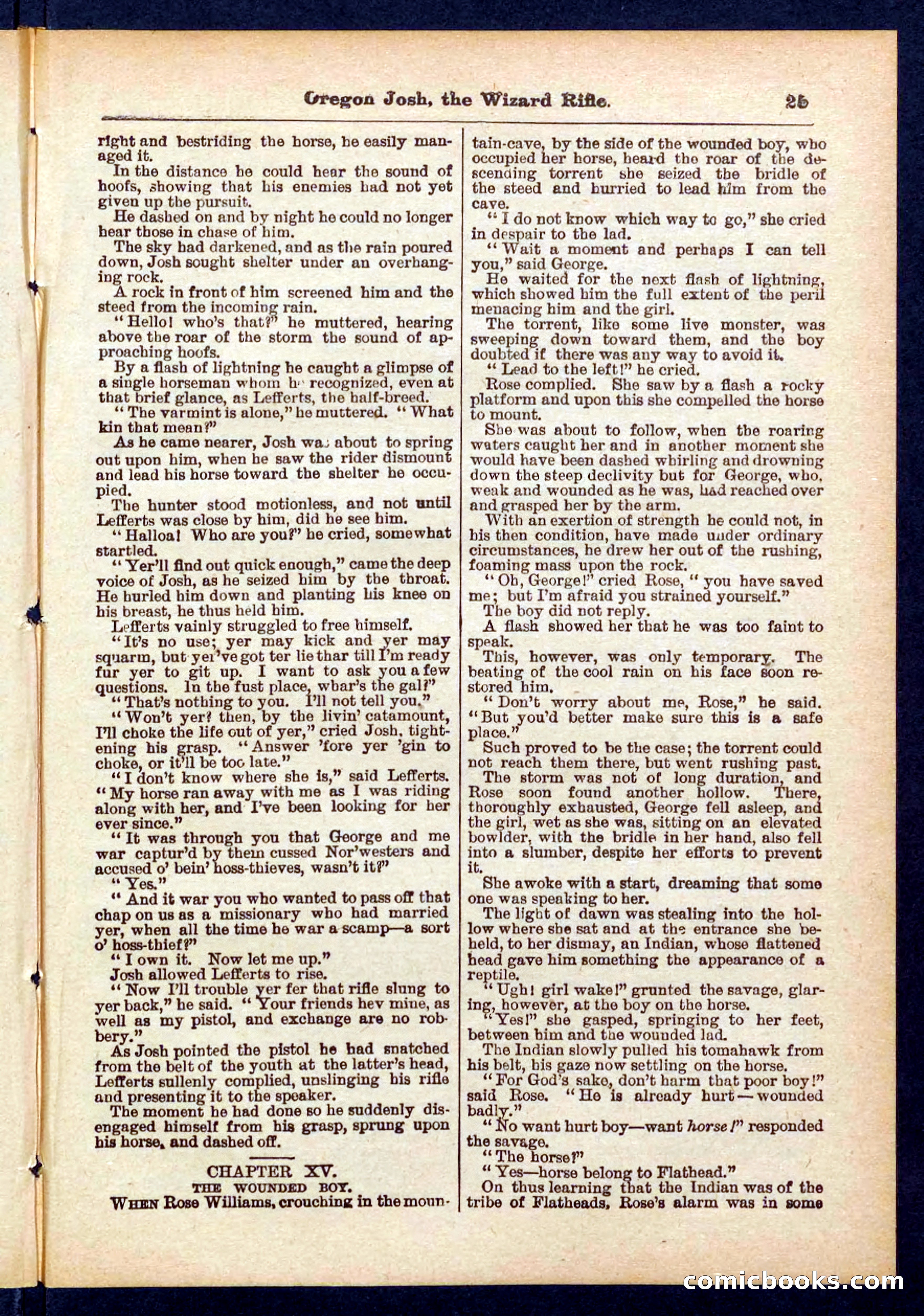 Beadle's Pocket Library No. 436 — page 25 of 32