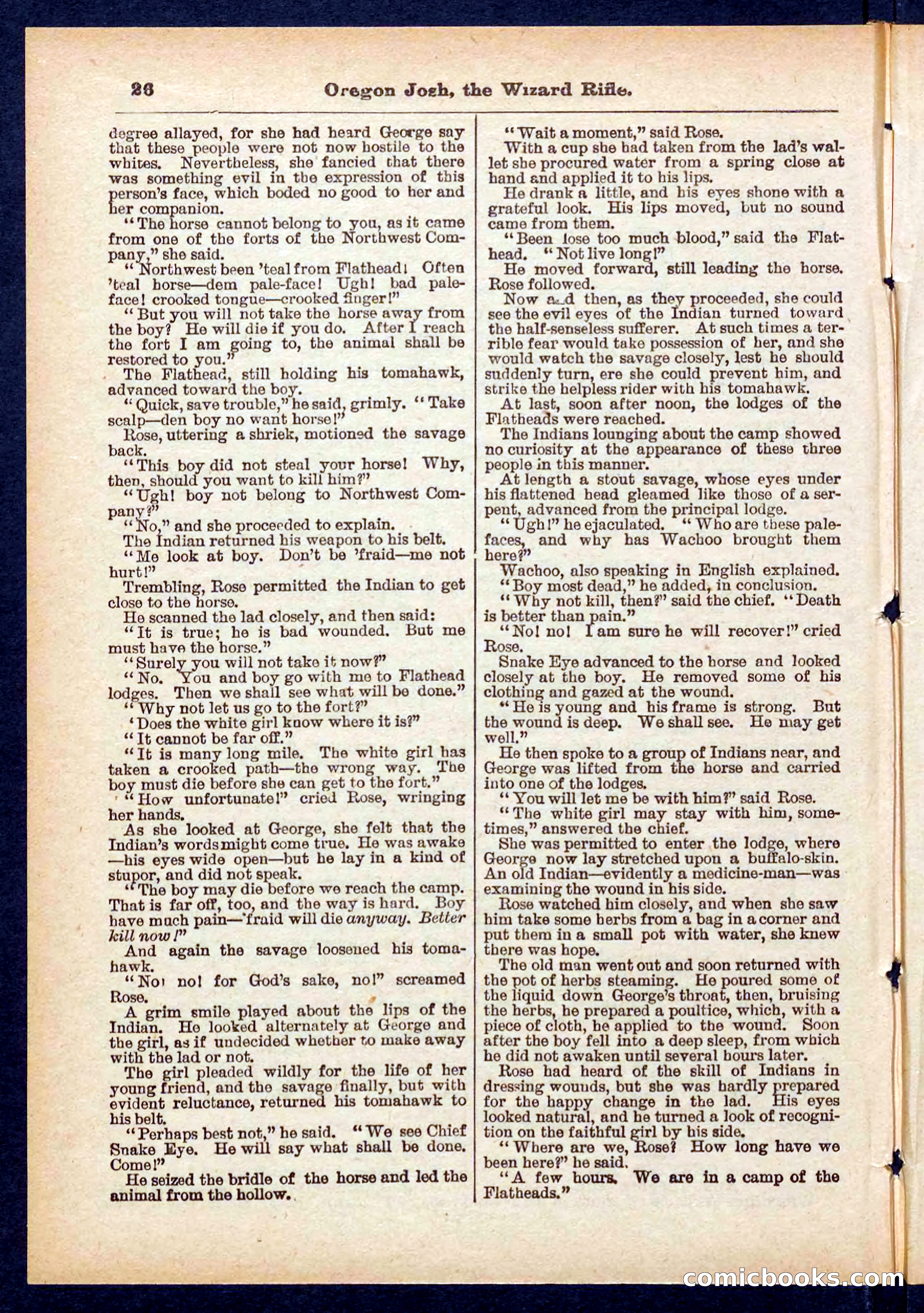 Beadle's Pocket Library No. 436 — page 26 of 32