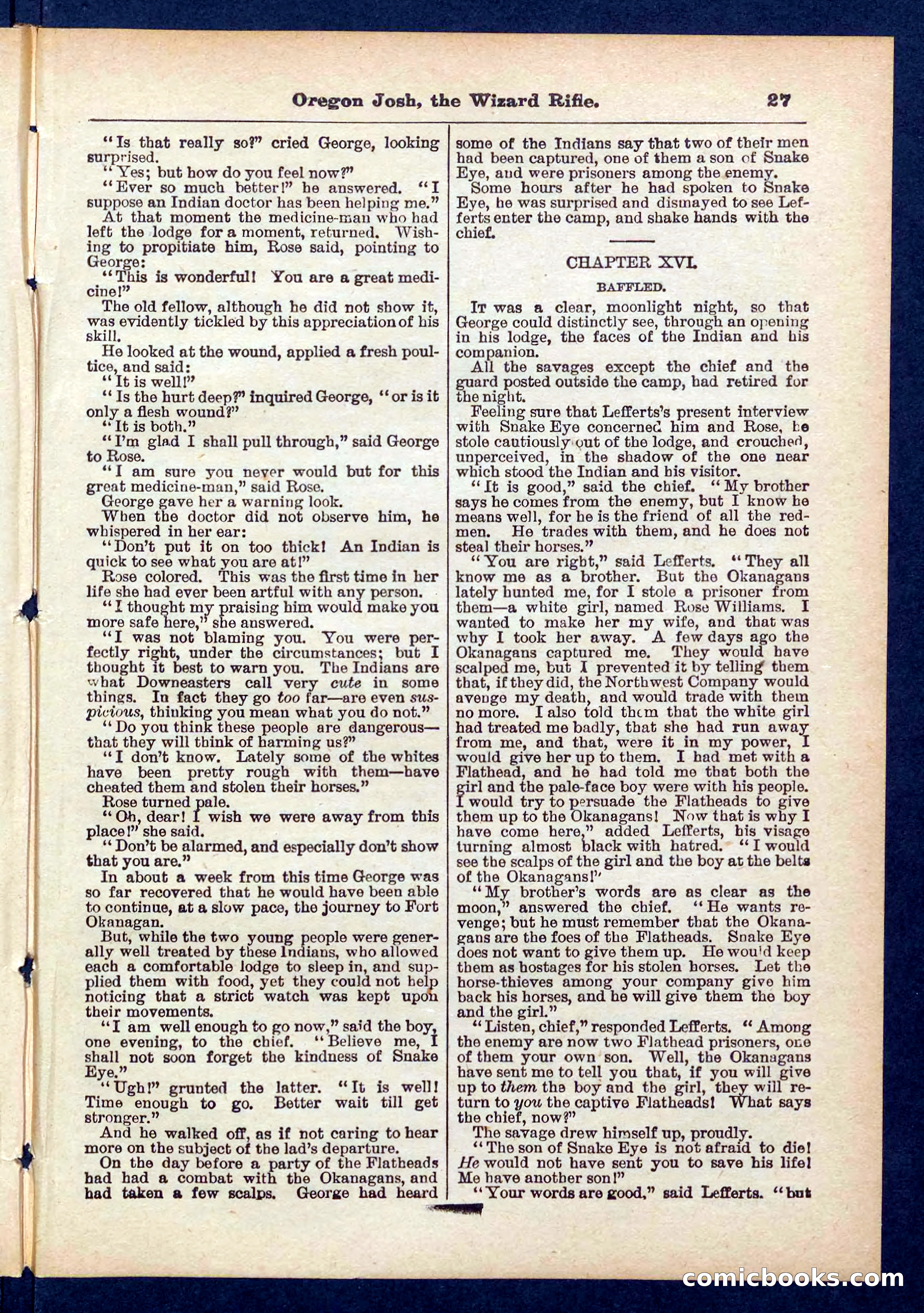 Beadle's Pocket Library No. 436 — page 27 of 32