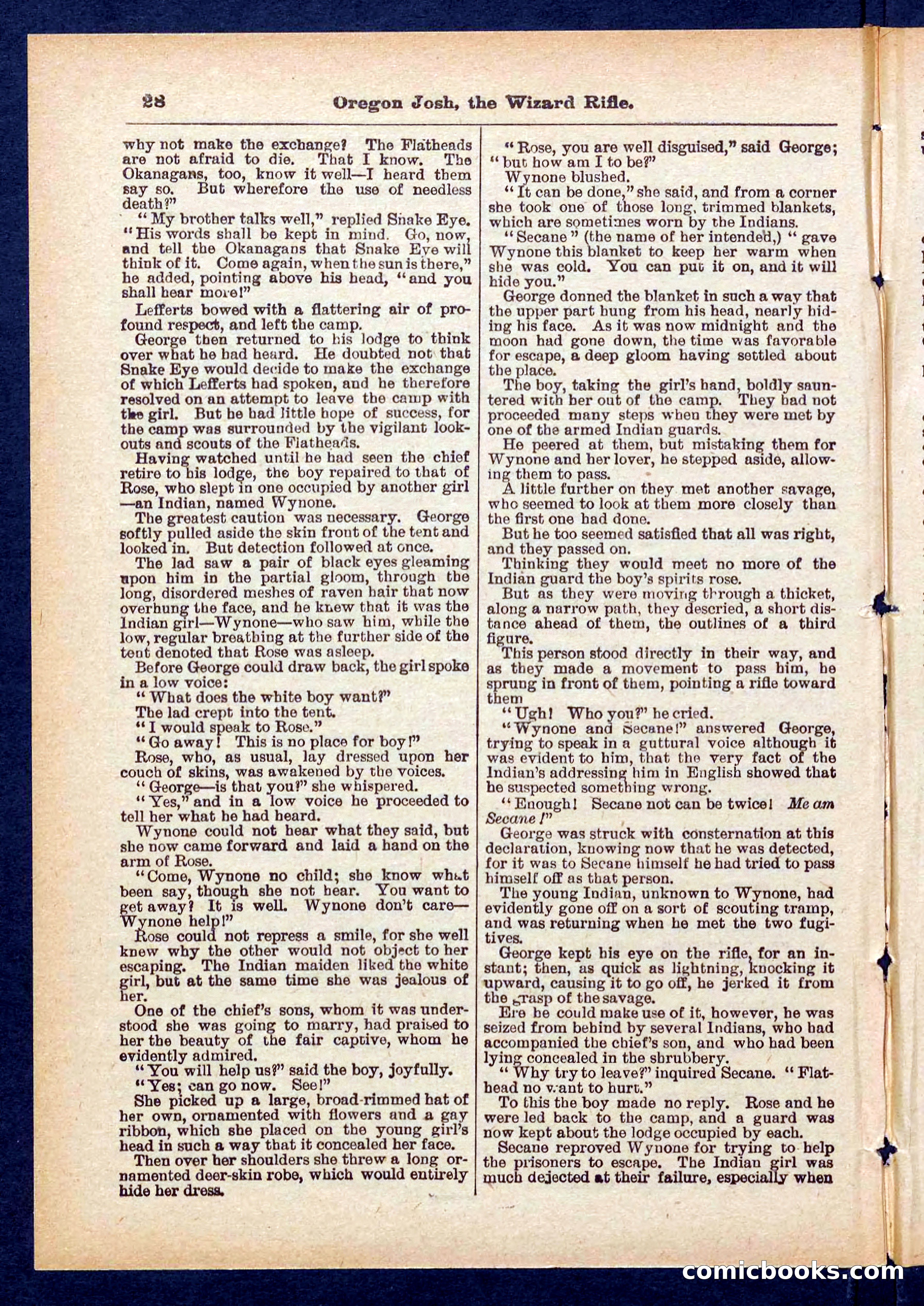 Beadle's Pocket Library No. 436 — page 28 of 32