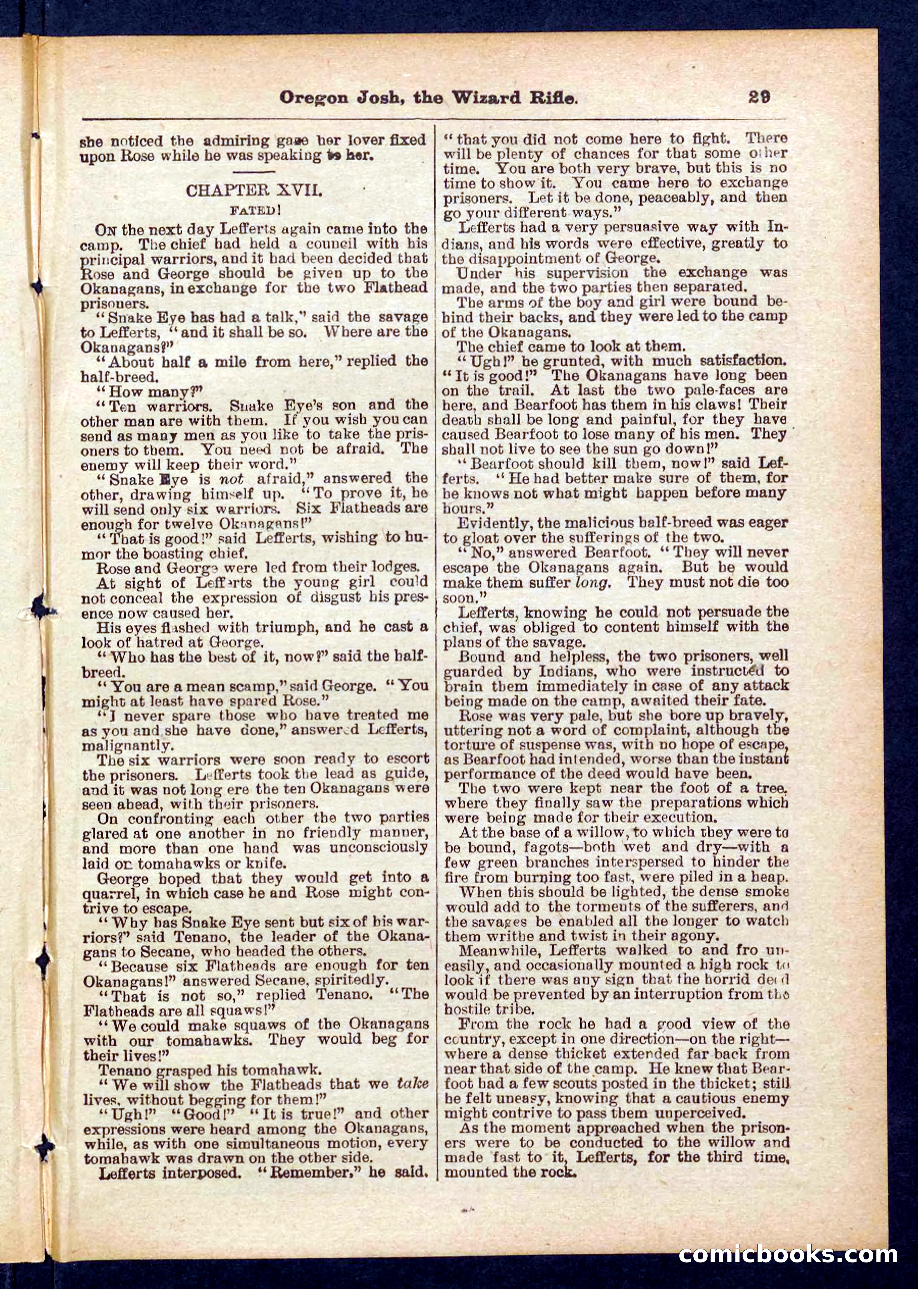 Beadle's Pocket Library No. 436 — page 29 of 32