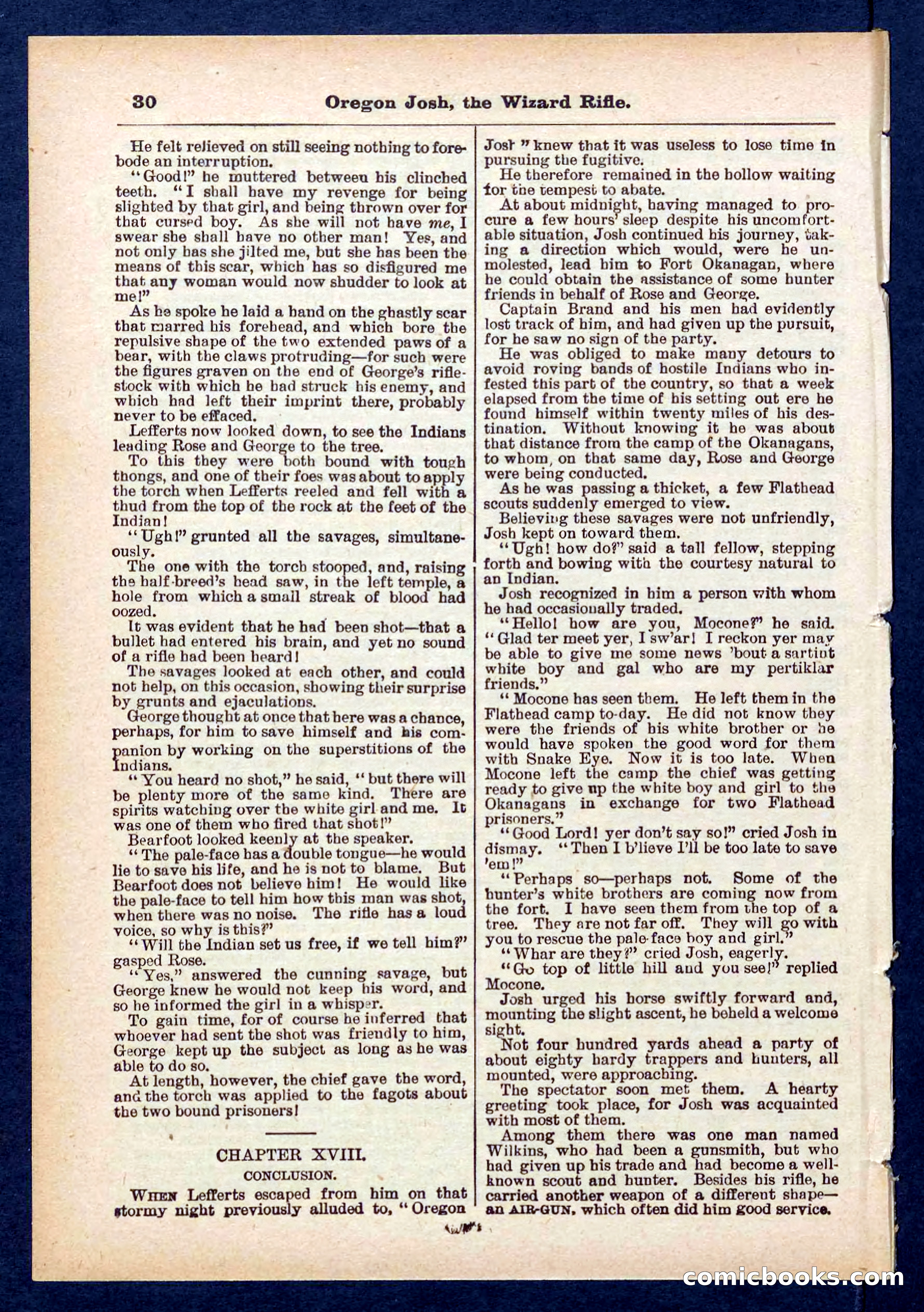 Beadle's Pocket Library No. 436 — page 30 of 32